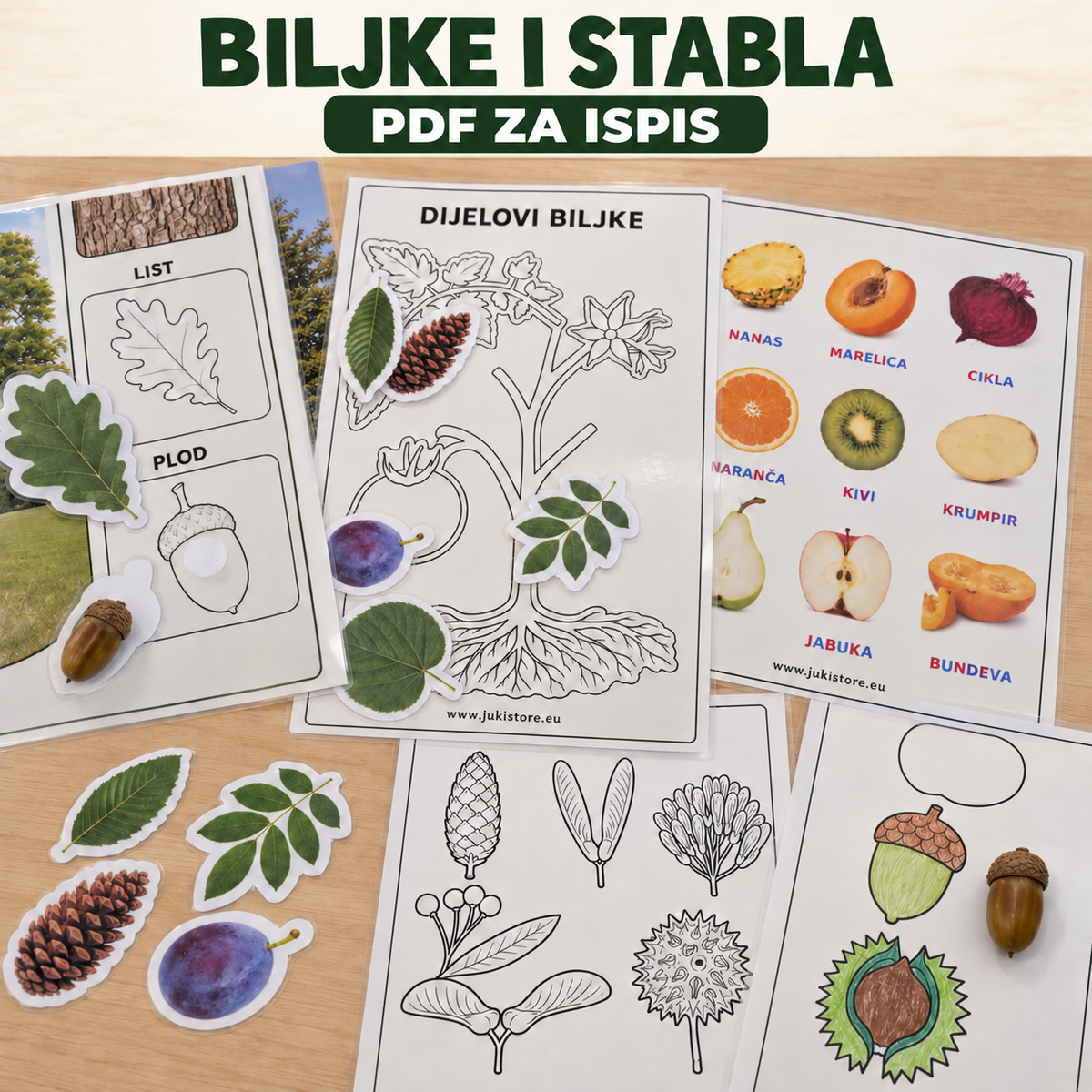 BILJKE I STABLA – VELIKI EDUKATIVNI SET | PDF za printanje