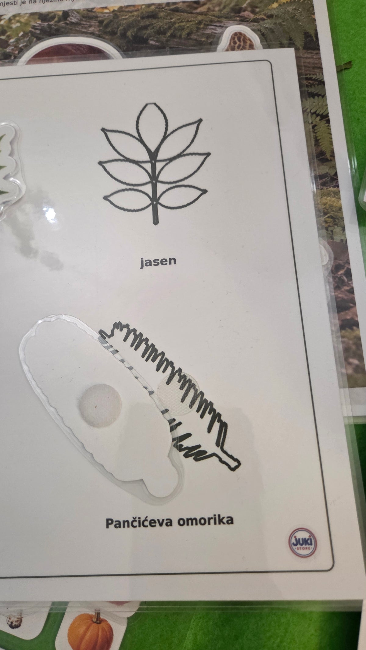 JESENSKI BOX – edukativne Montessori aktivnosti za djecu 3–6 godina