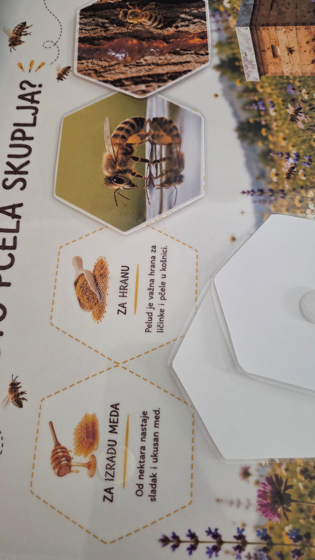 Montessori edukativni set o pčelama - Čudesne pčele