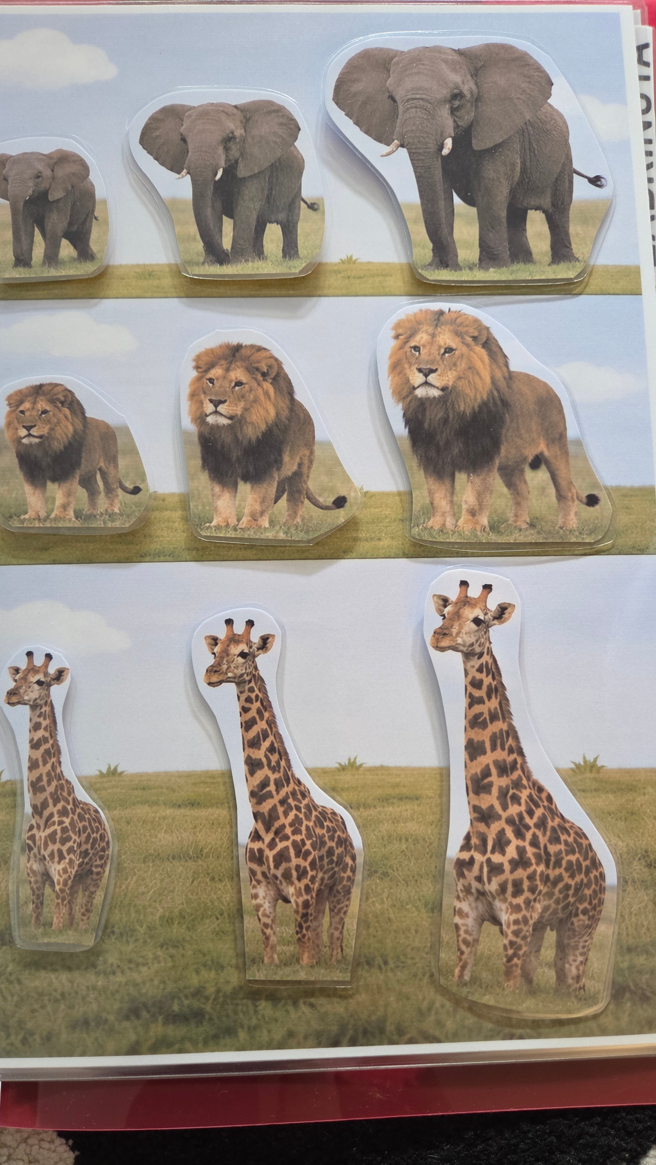 Montessori edukativni set za djecu - razvoj koncentracije i pažnje