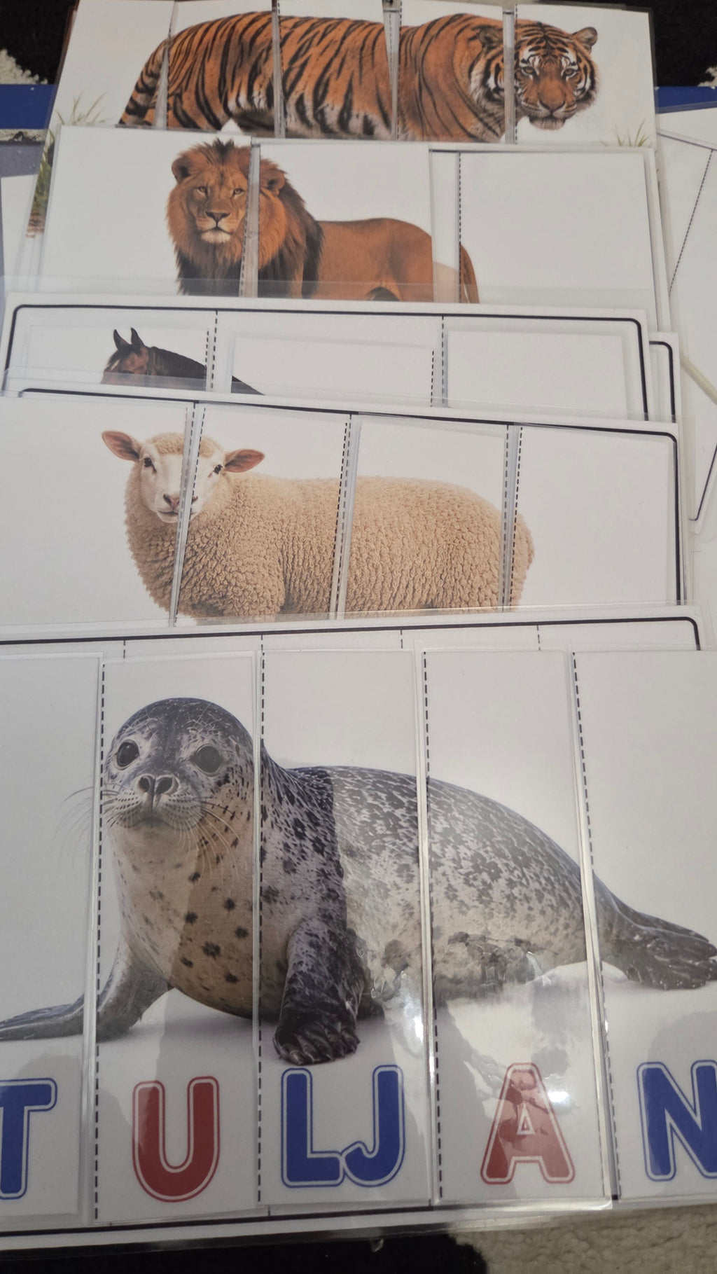 Montessori puzzle riječi za početno čitanje