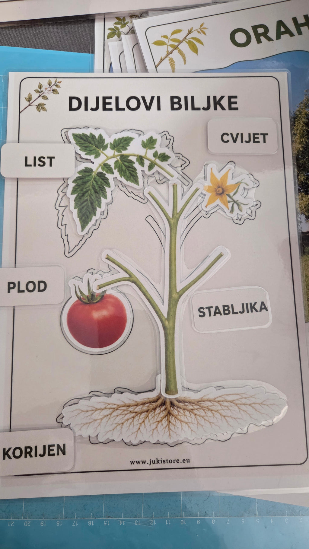 BILJNI SVIJET – VELIKI MONTESSORI SET