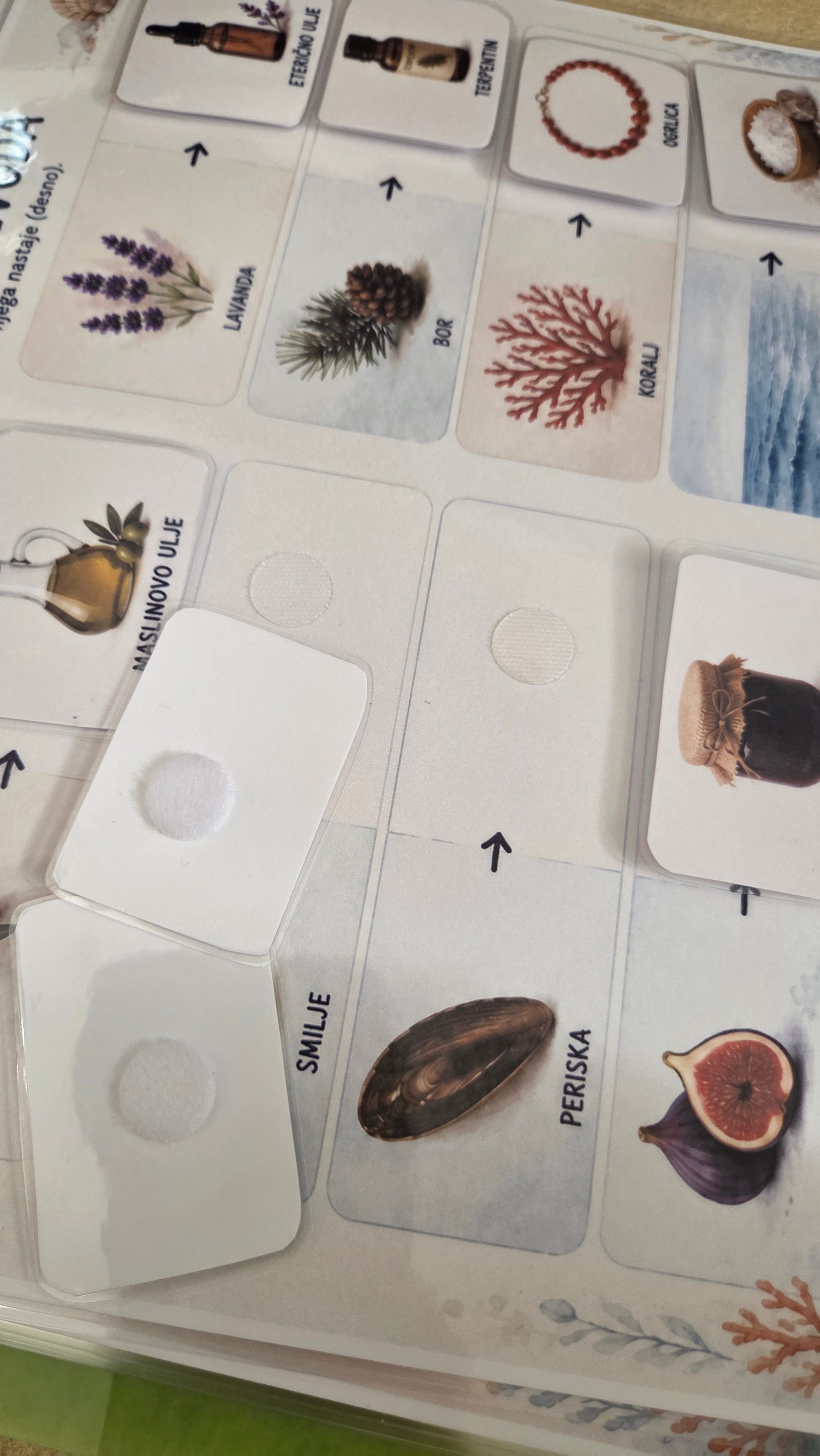 Montessori edukativni set - more i morske životinje za djecu