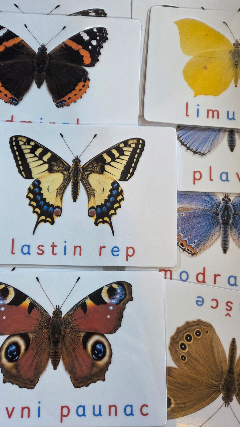Svijet leptira – Montessori edukativni set | 12 leptira + puzzle + životni ciklus