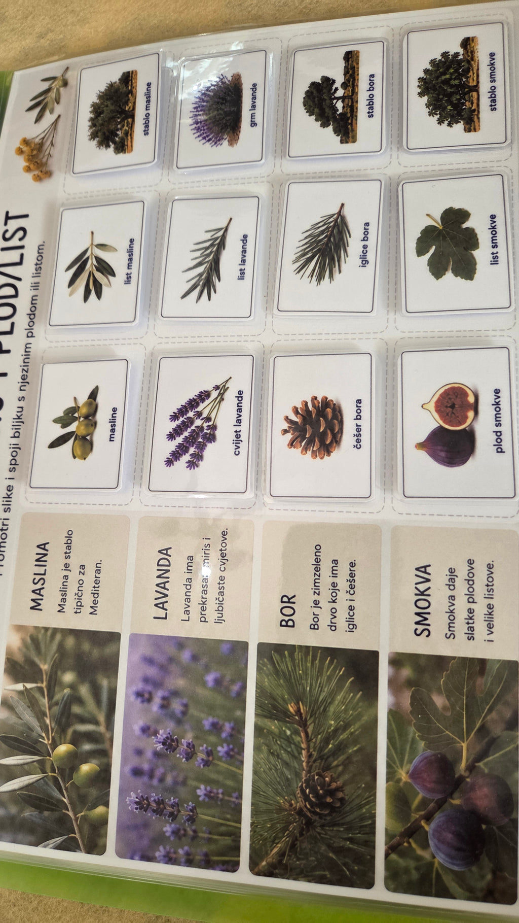 Montessori edukativni set - more i morske životinje za djecu