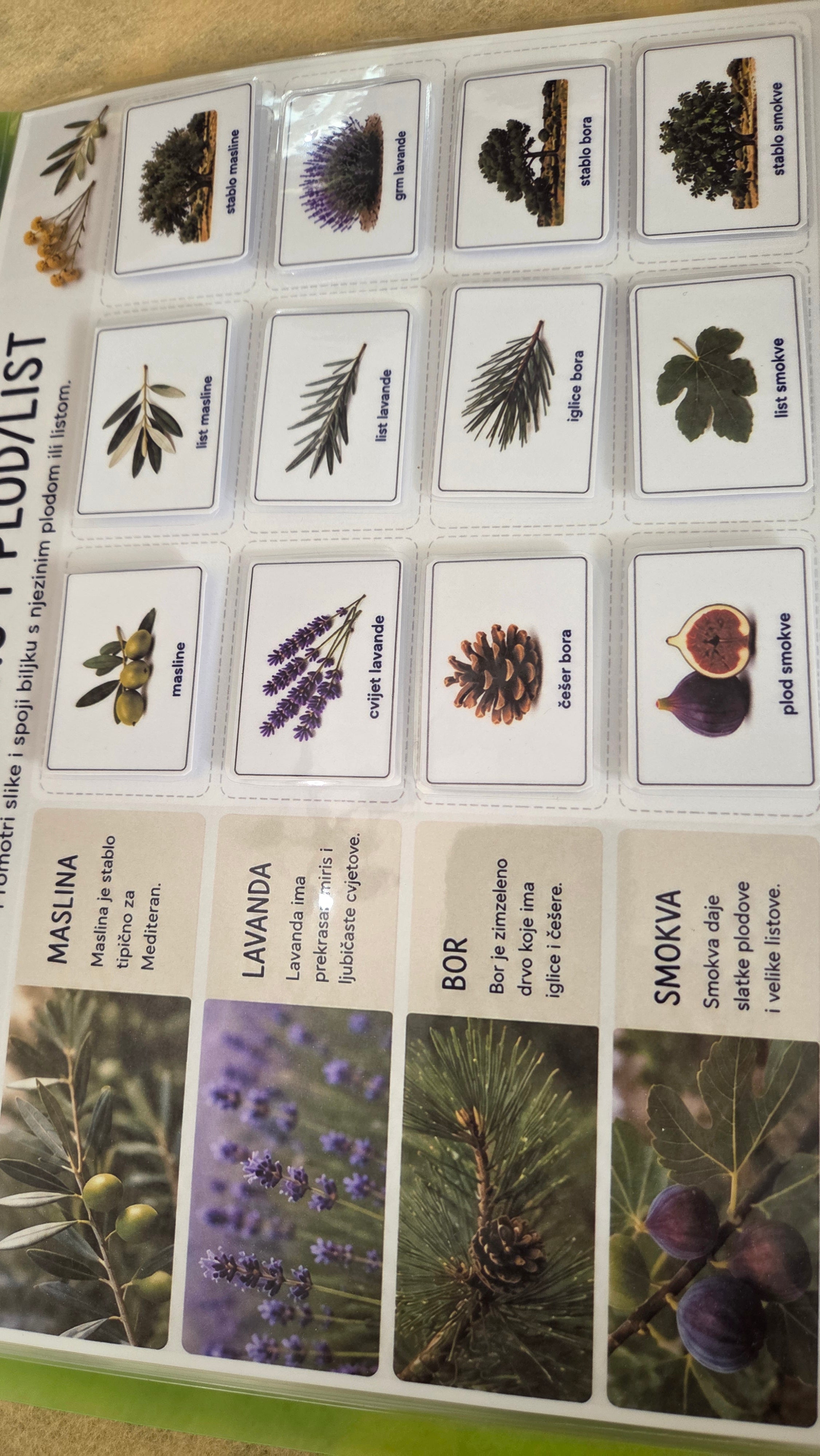 Montessori edukativni set - more i morske životinje za djecu