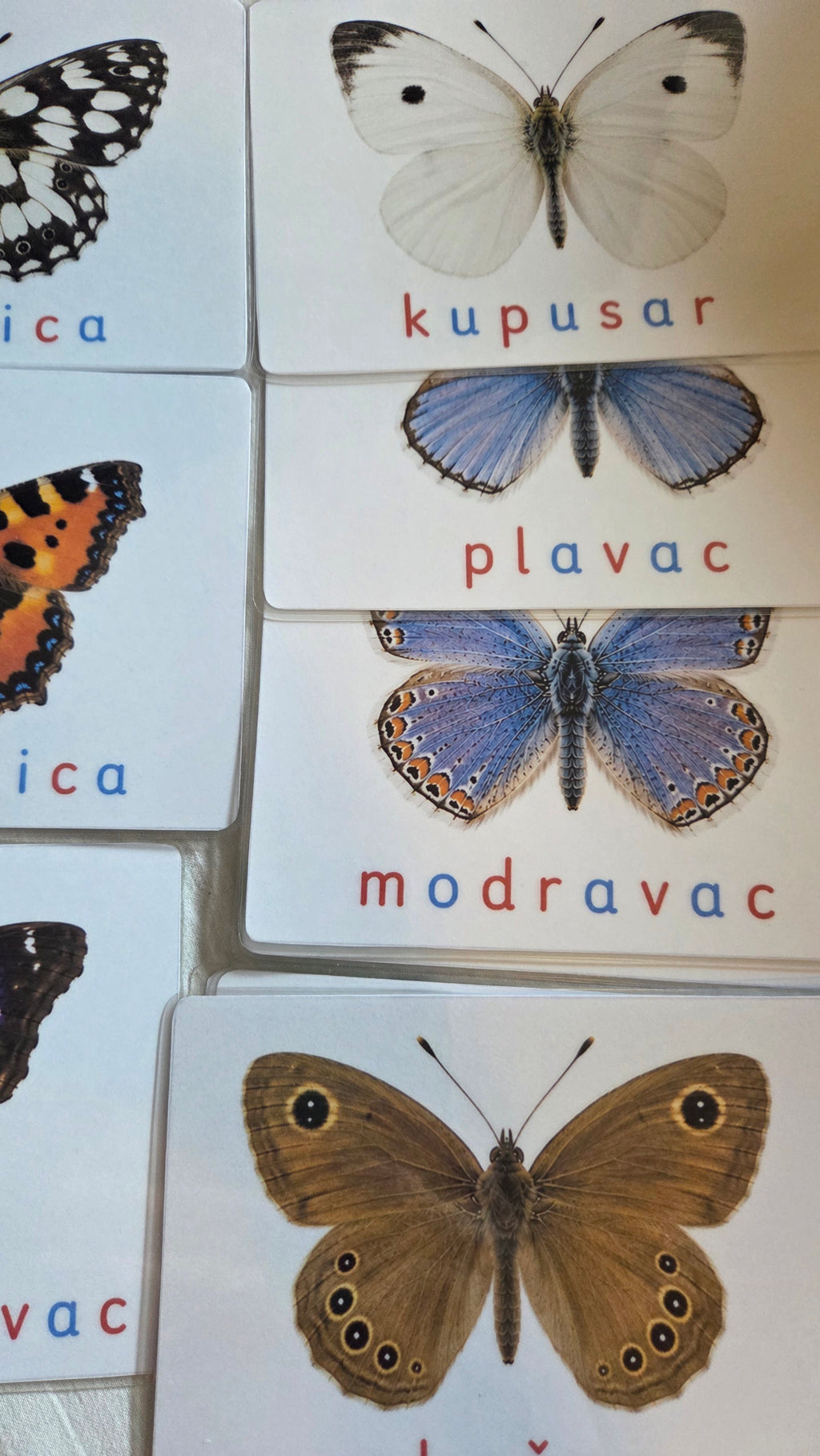 Svijet leptira – Montessori edukativni set | 12 leptira + puzzle + životni ciklus