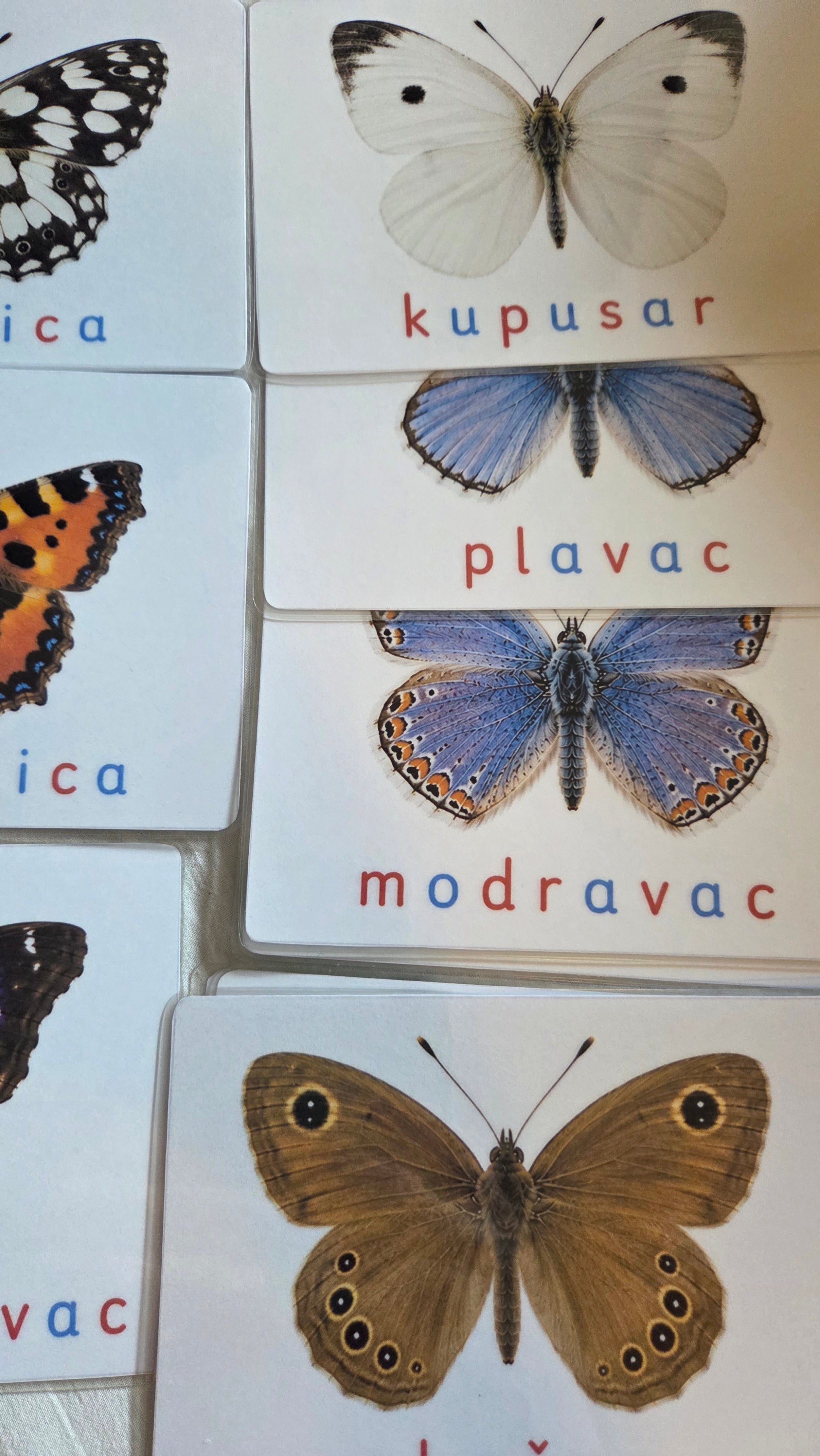 Svijet leptira – Montessori edukativni set | 12 leptira + puzzle + životni ciklus