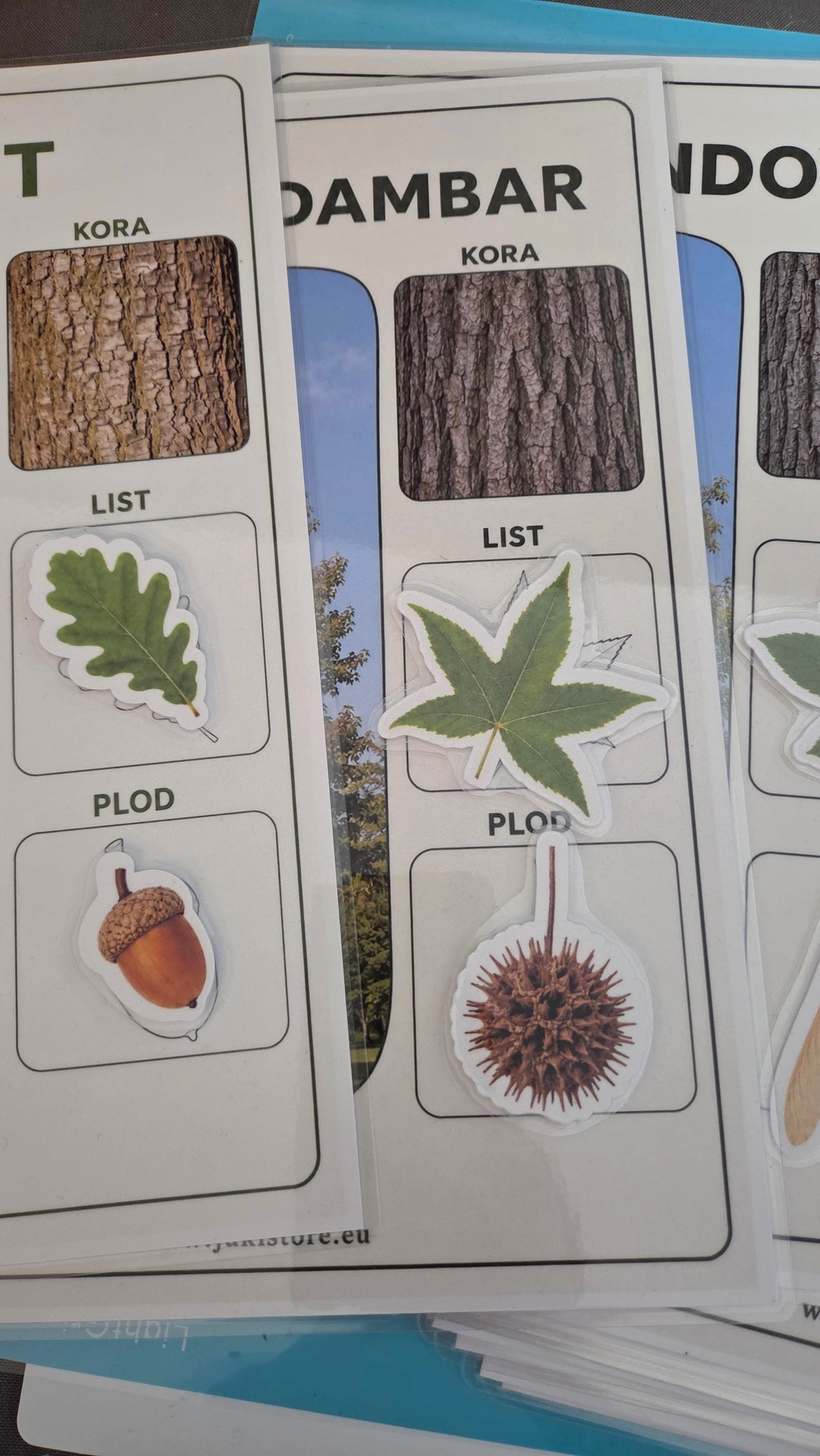 BILJKE I STABLA – VELIKI EDUKATIVNI SET | PDF za printanje