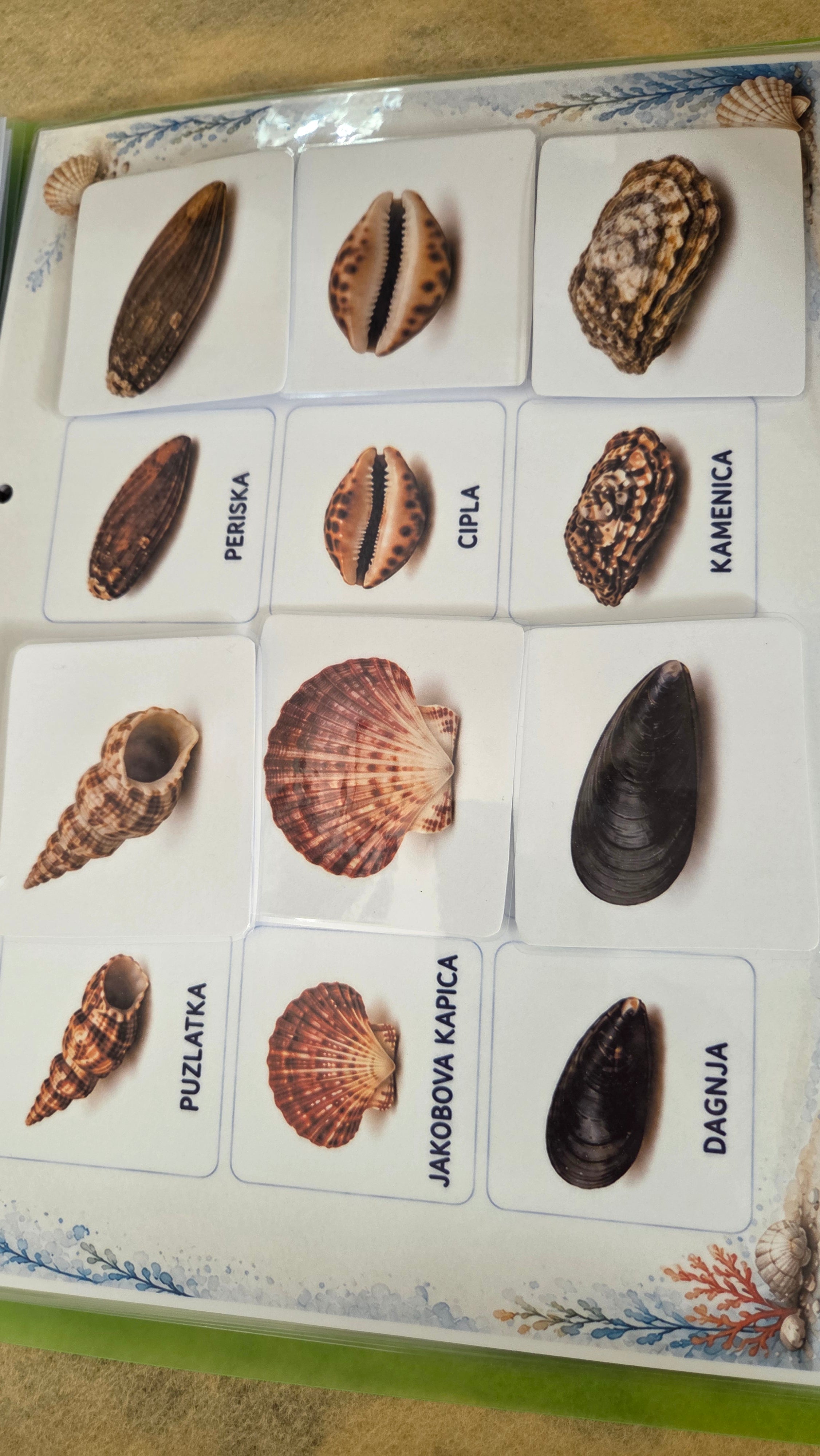 Montessori edukativni set - more i morske životinje za djecu