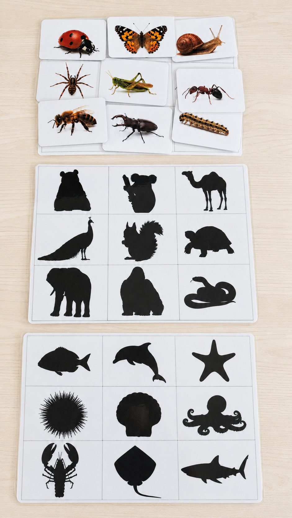 Montessori set – Sjene i Memory: Životinje i kukci