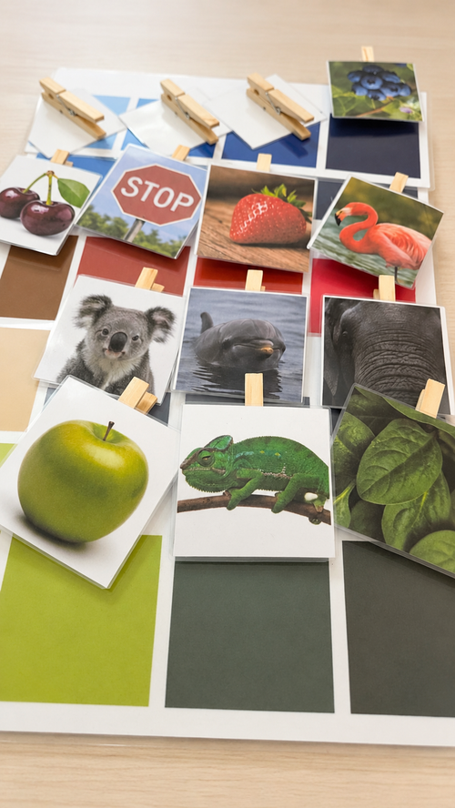 Montessori kartice nijansi boja za djecu