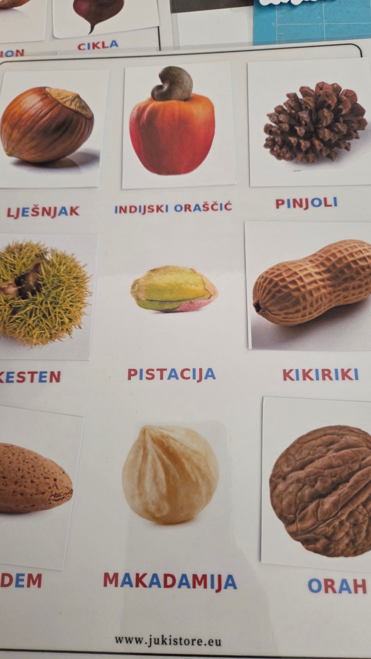 BILJNI SVIJET – VELIKI MONTESSORI SET