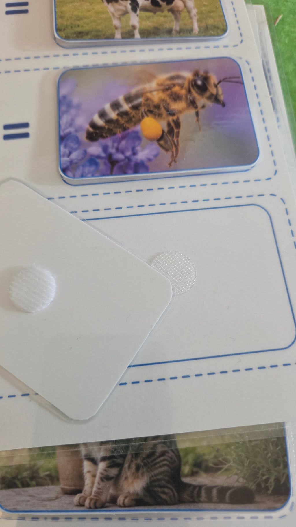 Montessori kartice za povezivanje životinja, staništa i uzoraka | Edukativna igra za djecu