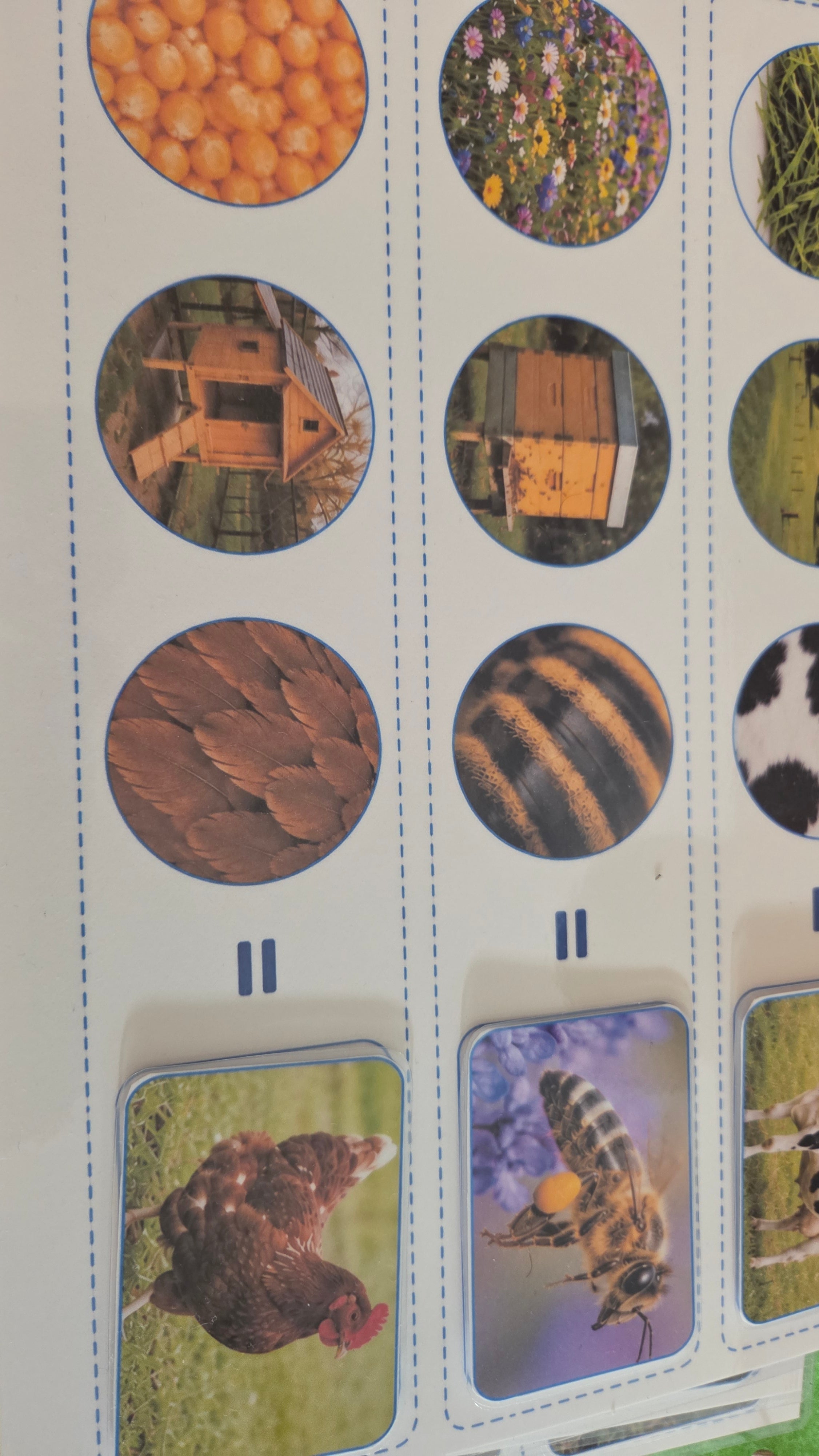 Montessori kartice za povezivanje životinja, staništa i uzoraka | Edukativna igra za djecu