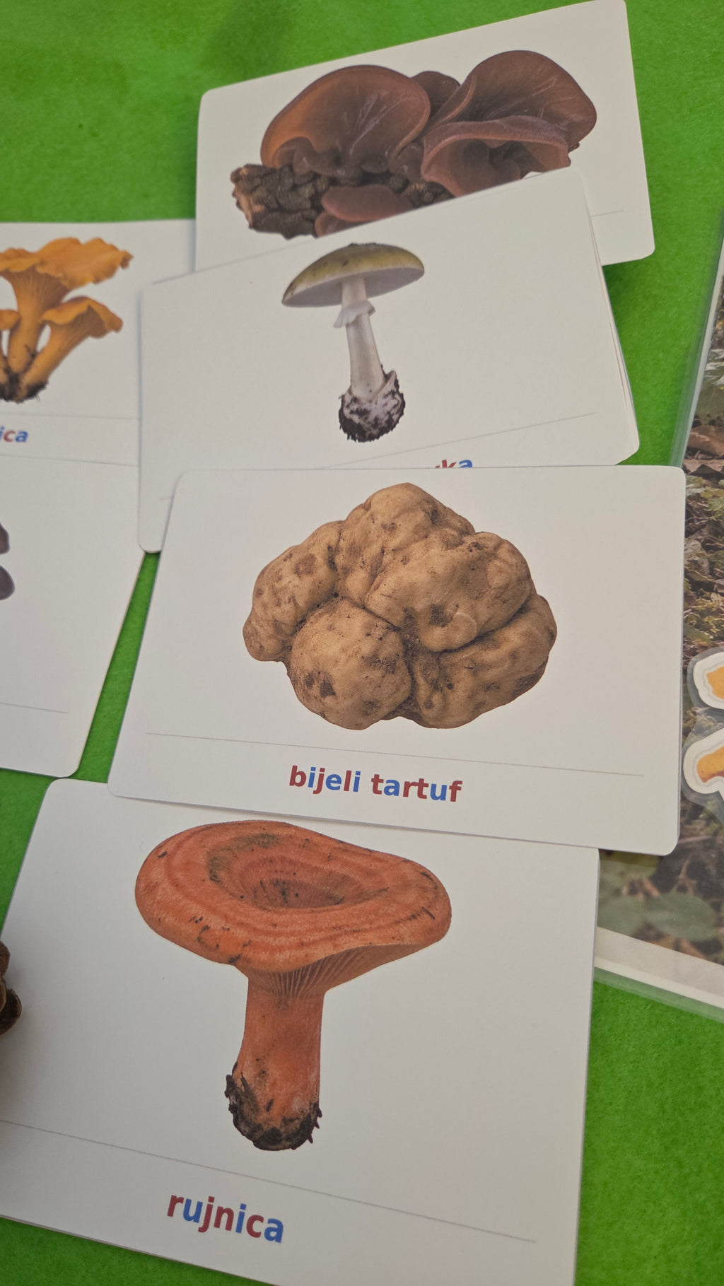 JESENSKI BOX – edukativne Montessori aktivnosti za djecu 3–6 godina