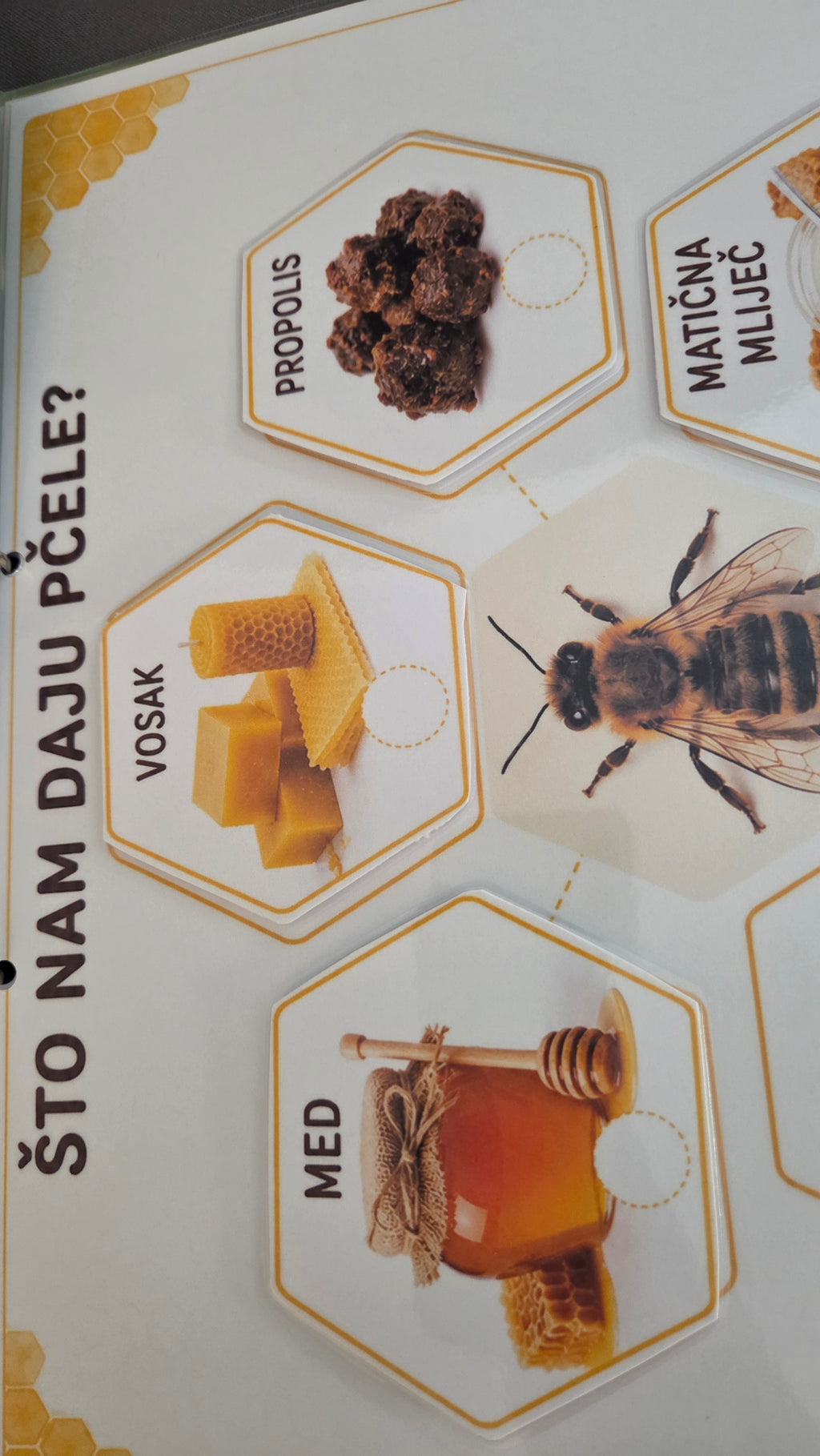 Montessori edukativni set o pčelama - Čudesne pčele
