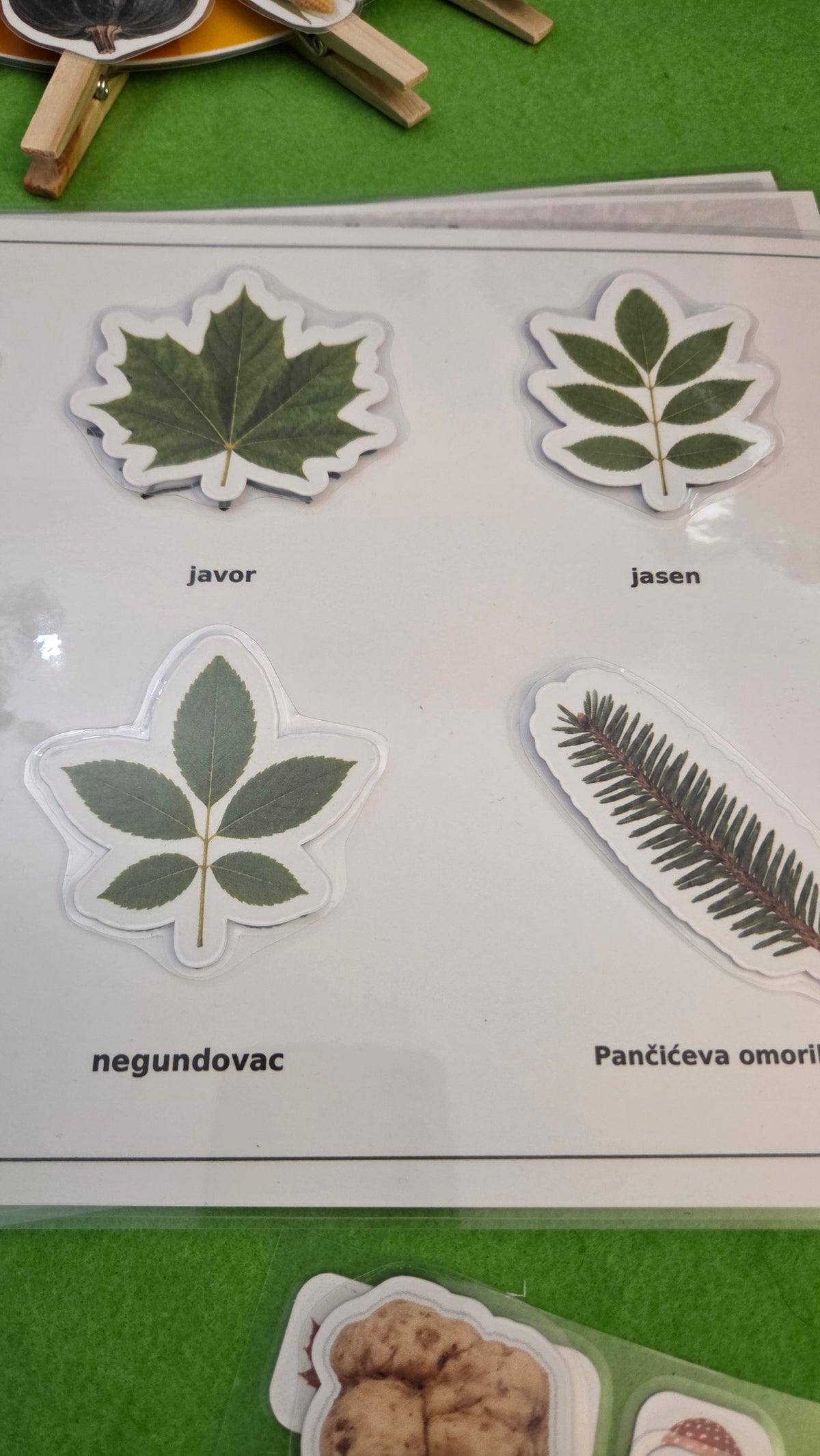 JESENSKI BOX – edukativne Montessori aktivnosti za djecu 3–6 godina