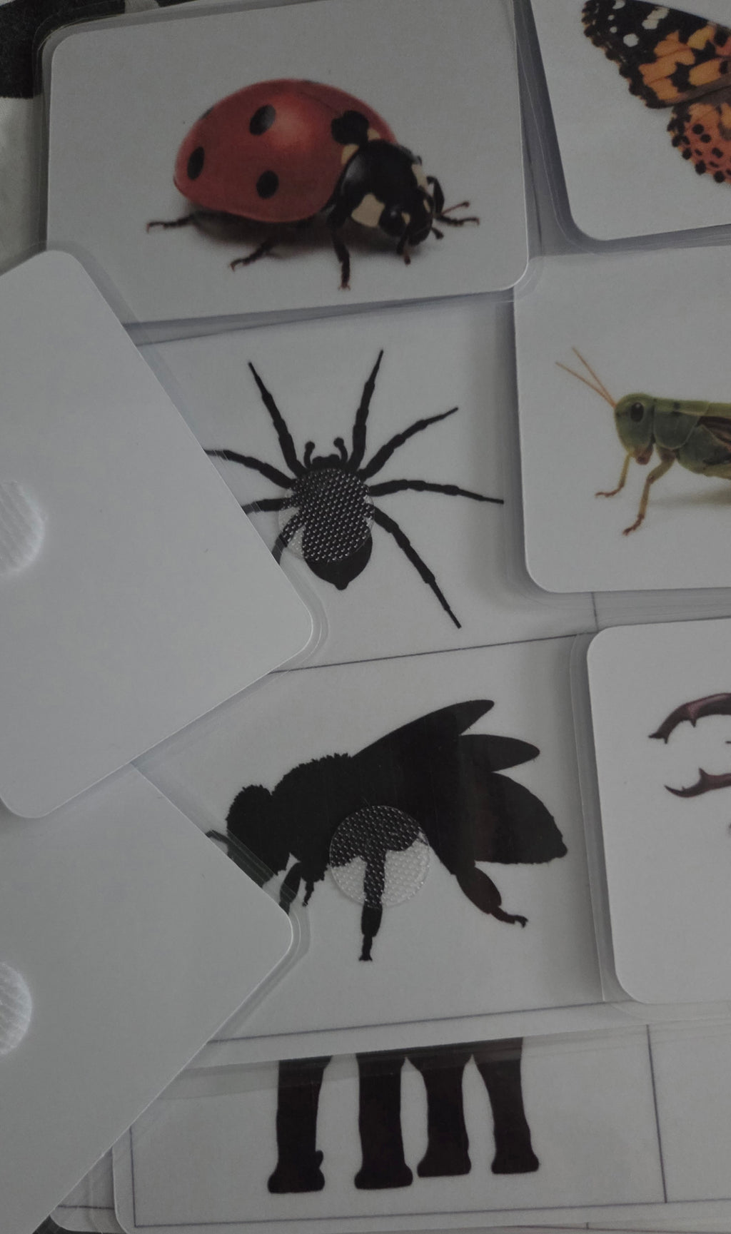 Montessori set – Sjene i Memory: Životinje i kukci