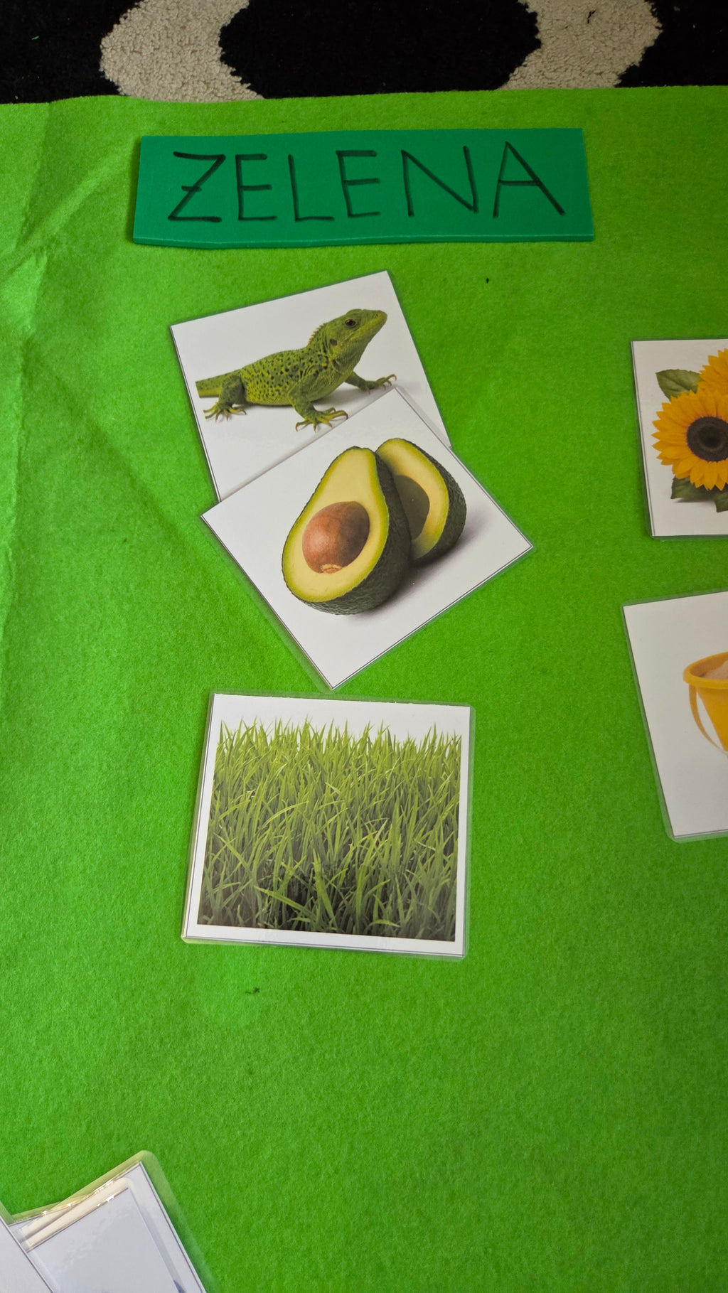 Montessori kartice boja iz stvarnog života