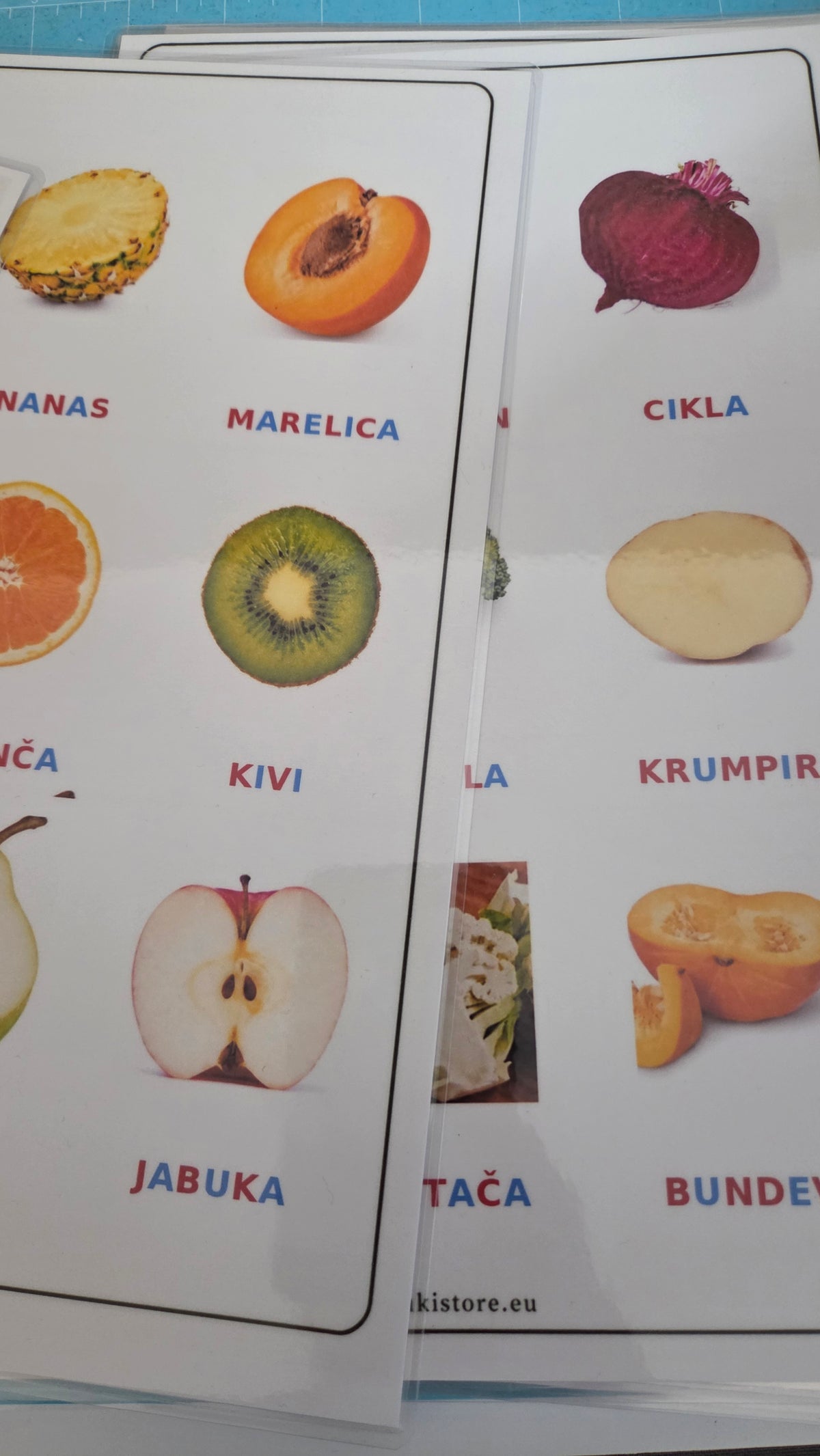 BILJNI SVIJET – VELIKI MONTESSORI SET