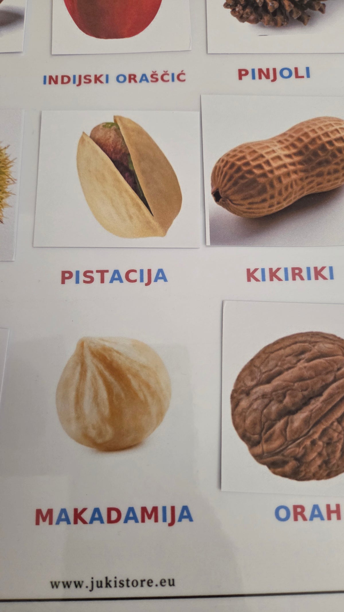 BILJNI SVIJET – VELIKI MONTESSORI SET