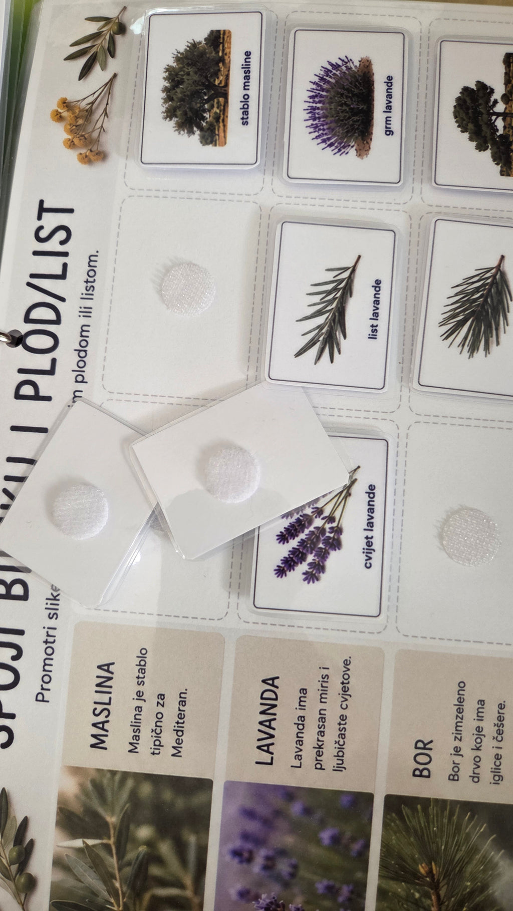 Montessori edukativni set - more i morske životinje za djecu