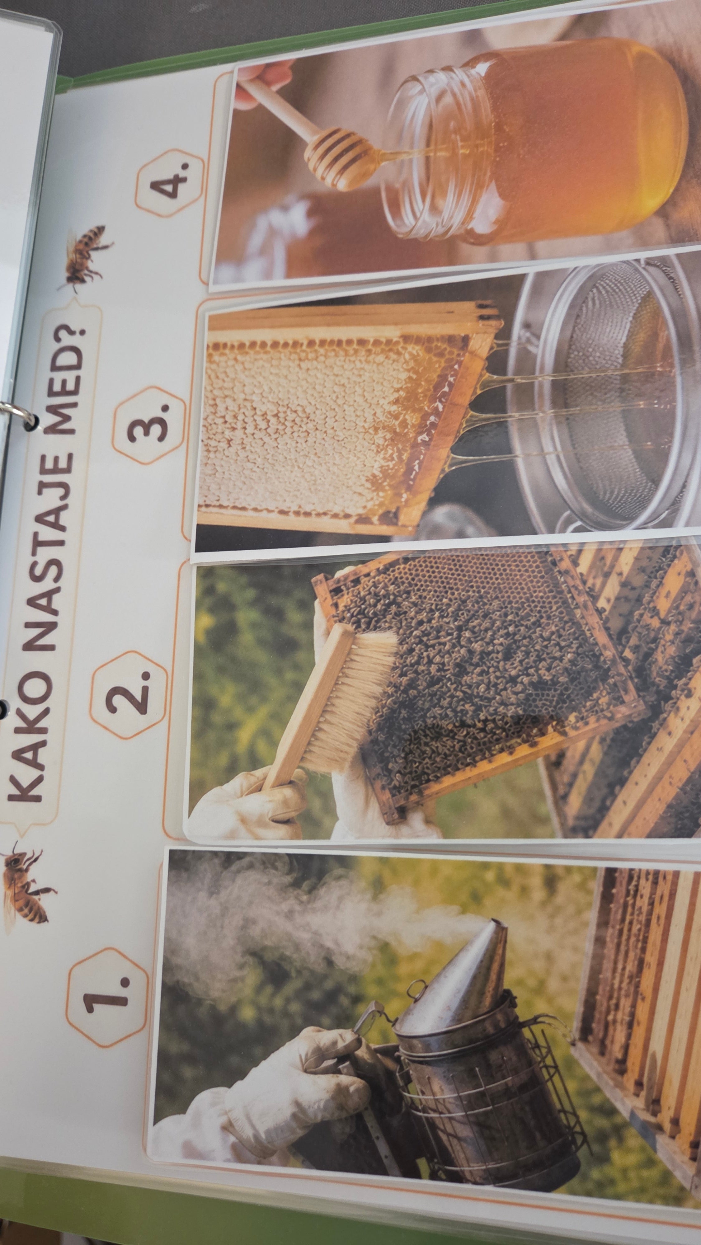 Montessori edukativni set o pčelama - Čudesne pčele