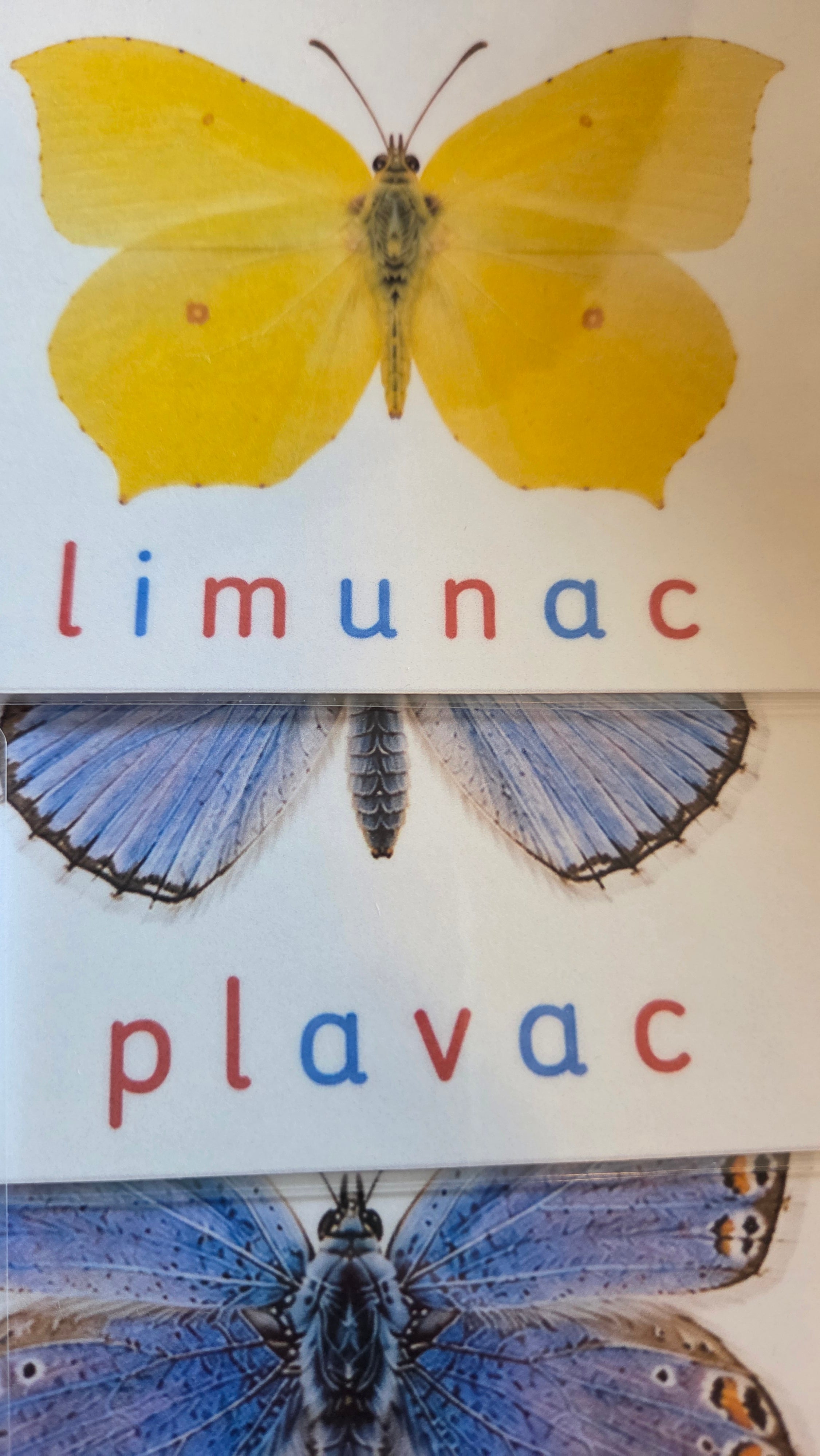 Svijet leptira – Montessori edukativni set | 12 leptira + puzzle + životni ciklus