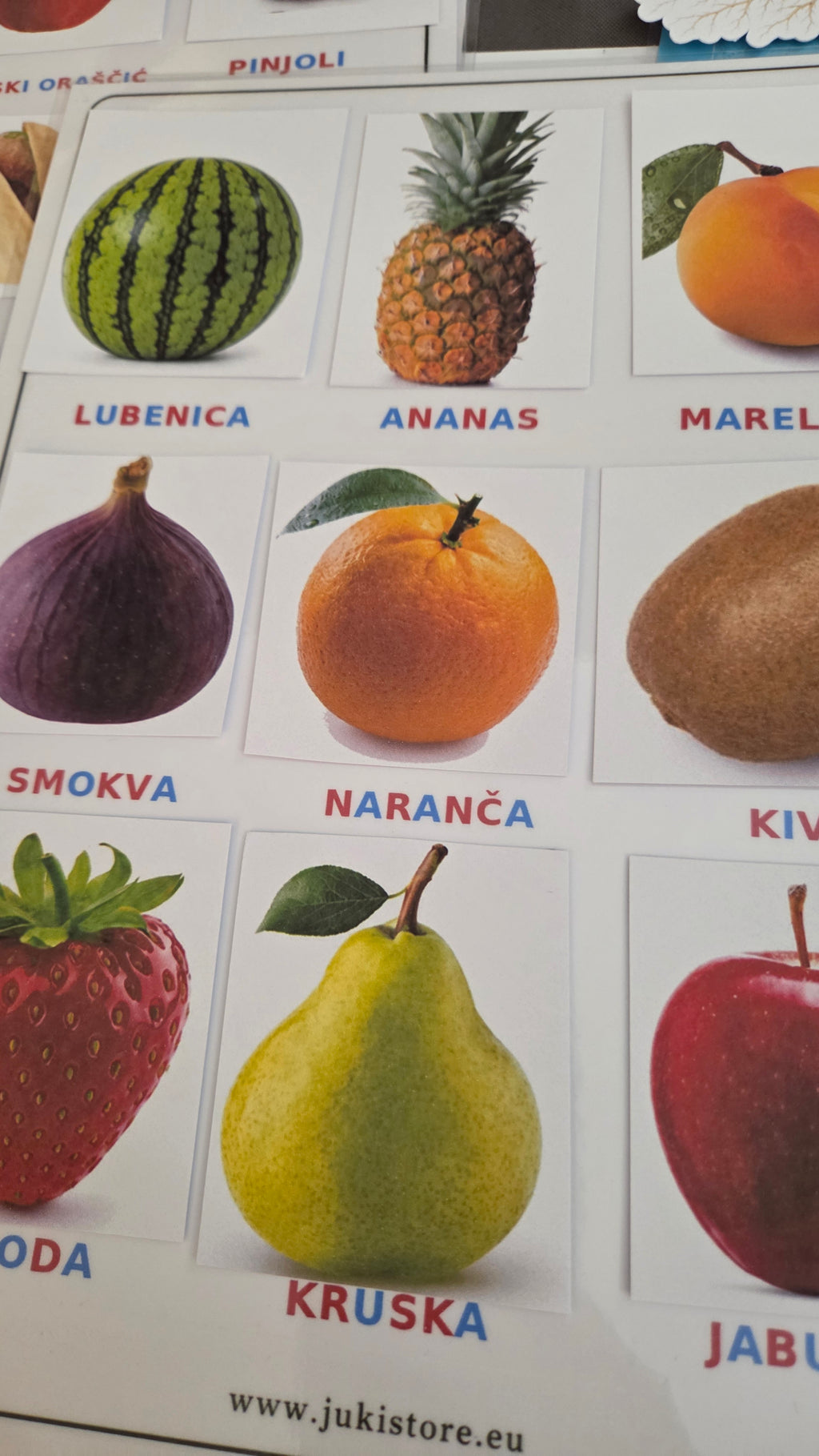 BILJKE I STABLA – VELIKI EDUKATIVNI SET | PDF za printanje