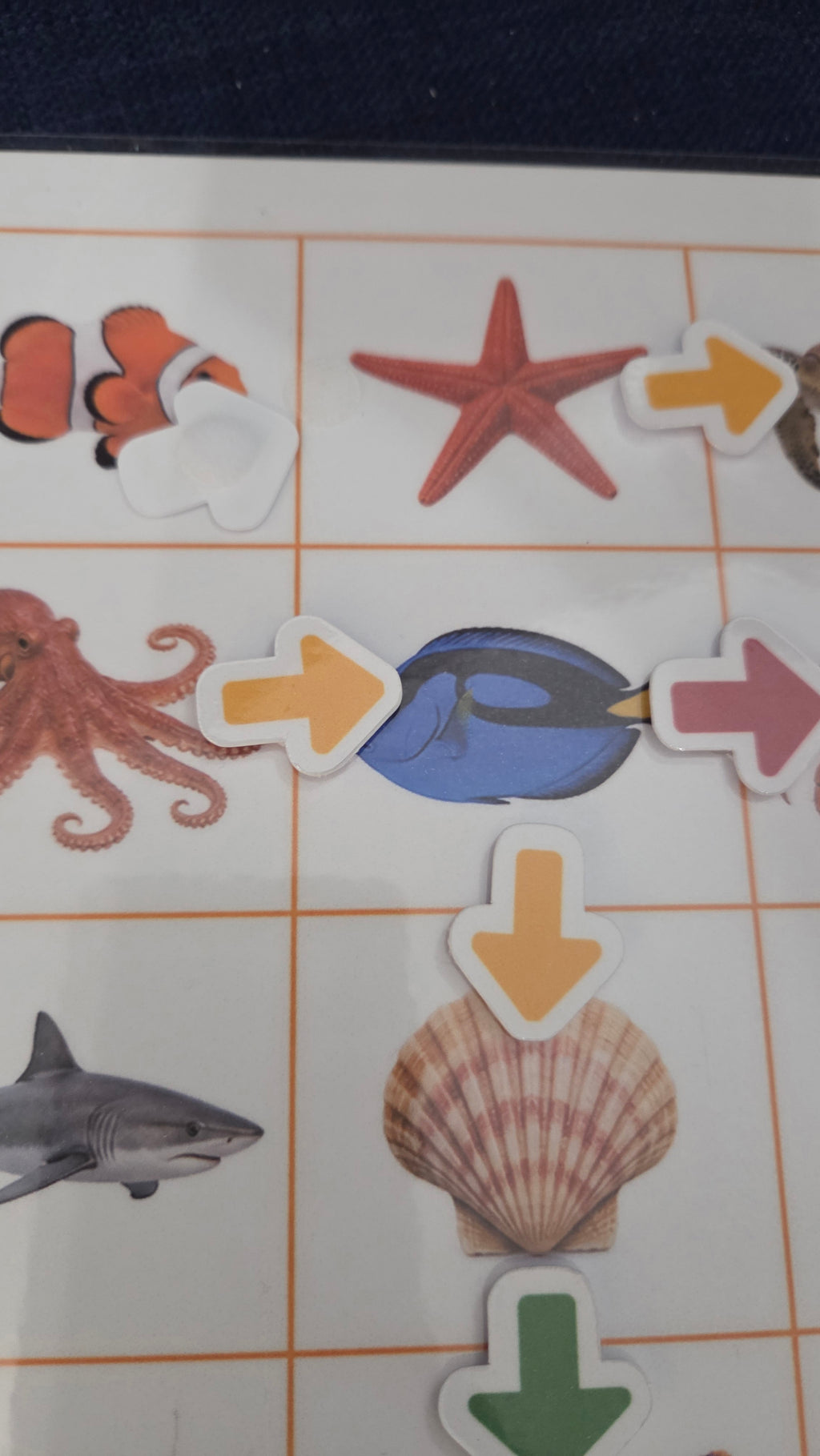 Montessori aktivnost – Prati strelice kroz more | Logika, pažnja i prostorna orijentacija