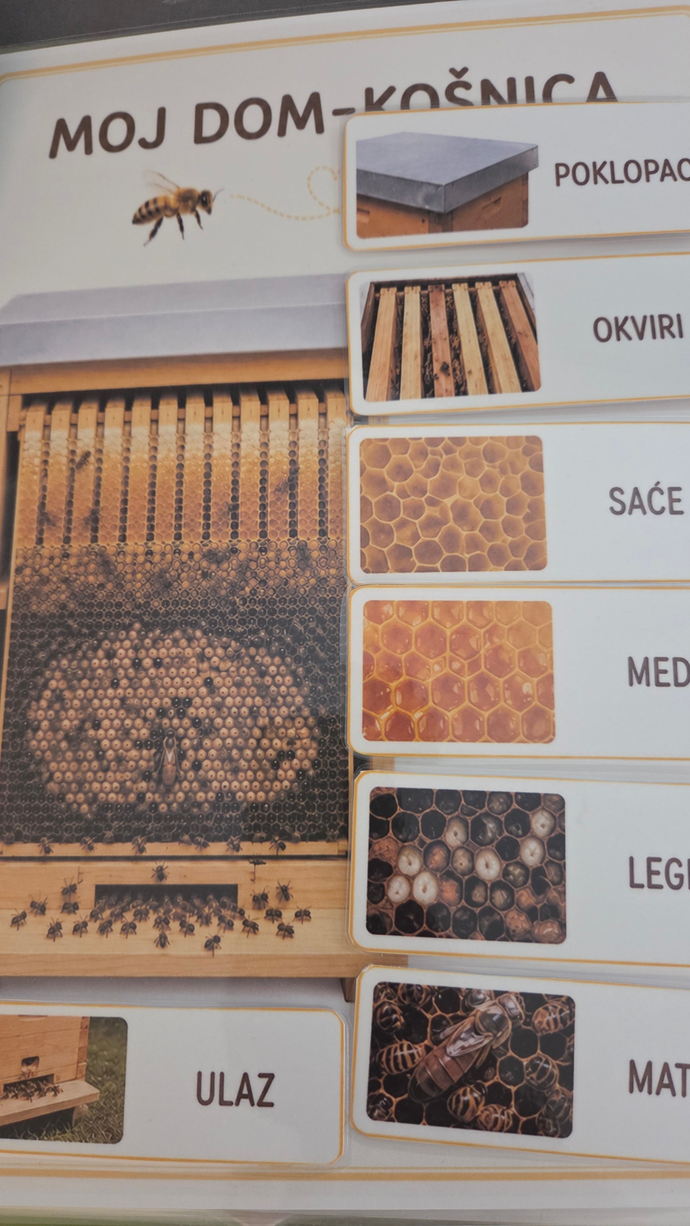 Montessori edukativni set o pčelama - Čudesne pčele