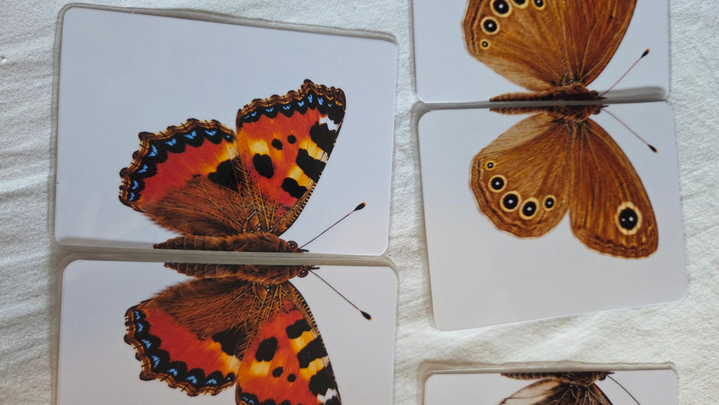Svijet leptira – Montessori edukativni set | 12 leptira + puzzle + životni ciklus