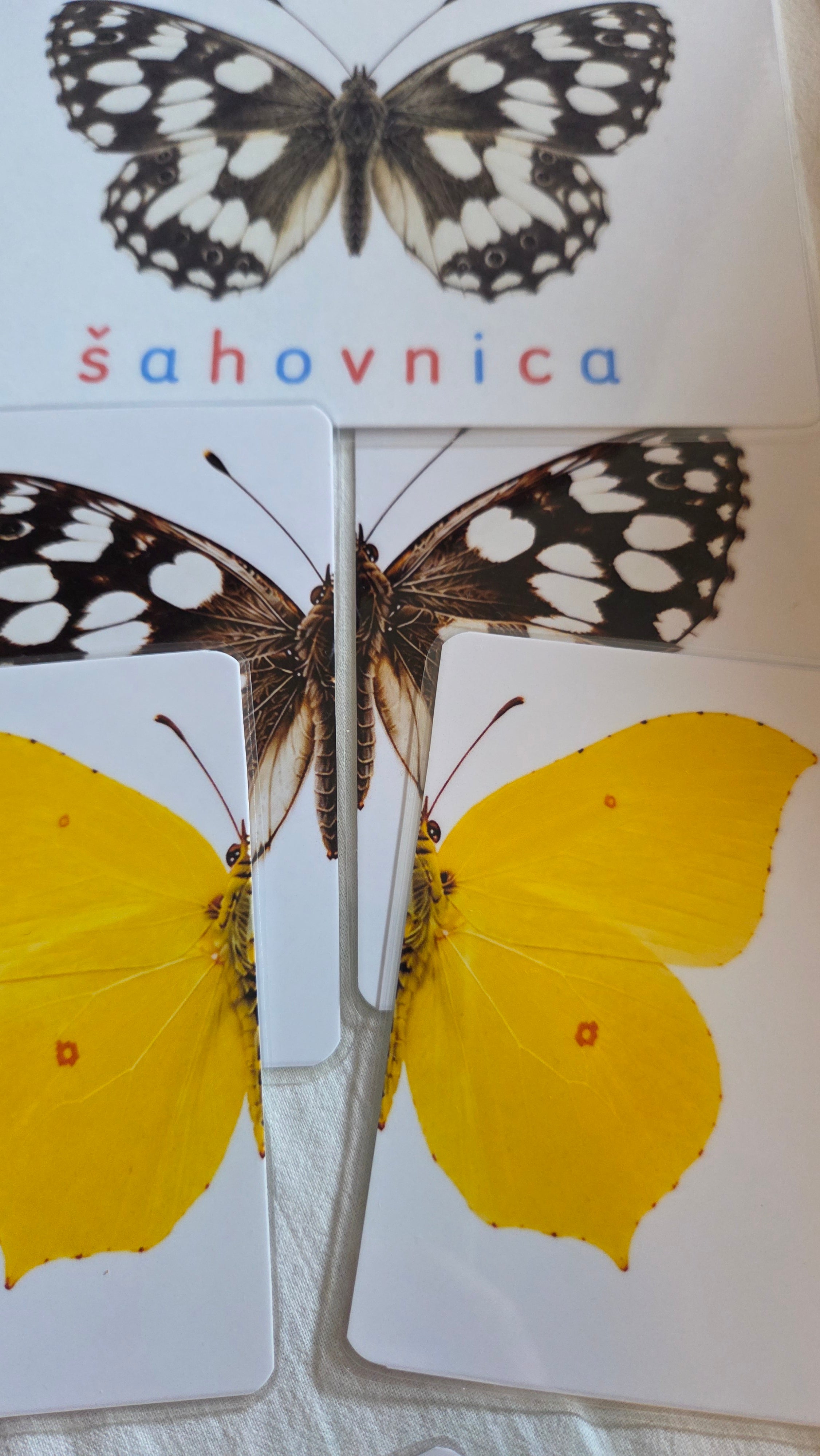 Svijet leptira – Montessori edukativni set | 12 leptira + puzzle + životni ciklus