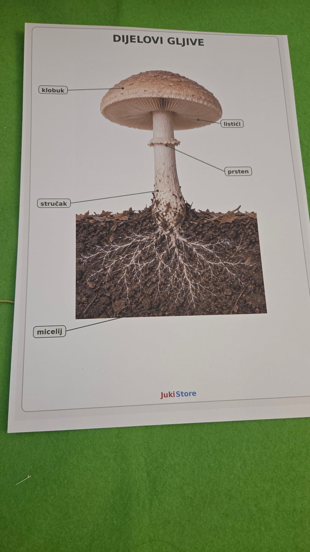 JESENSKI BOX – edukativne Montessori aktivnosti za djecu 3–6 godina