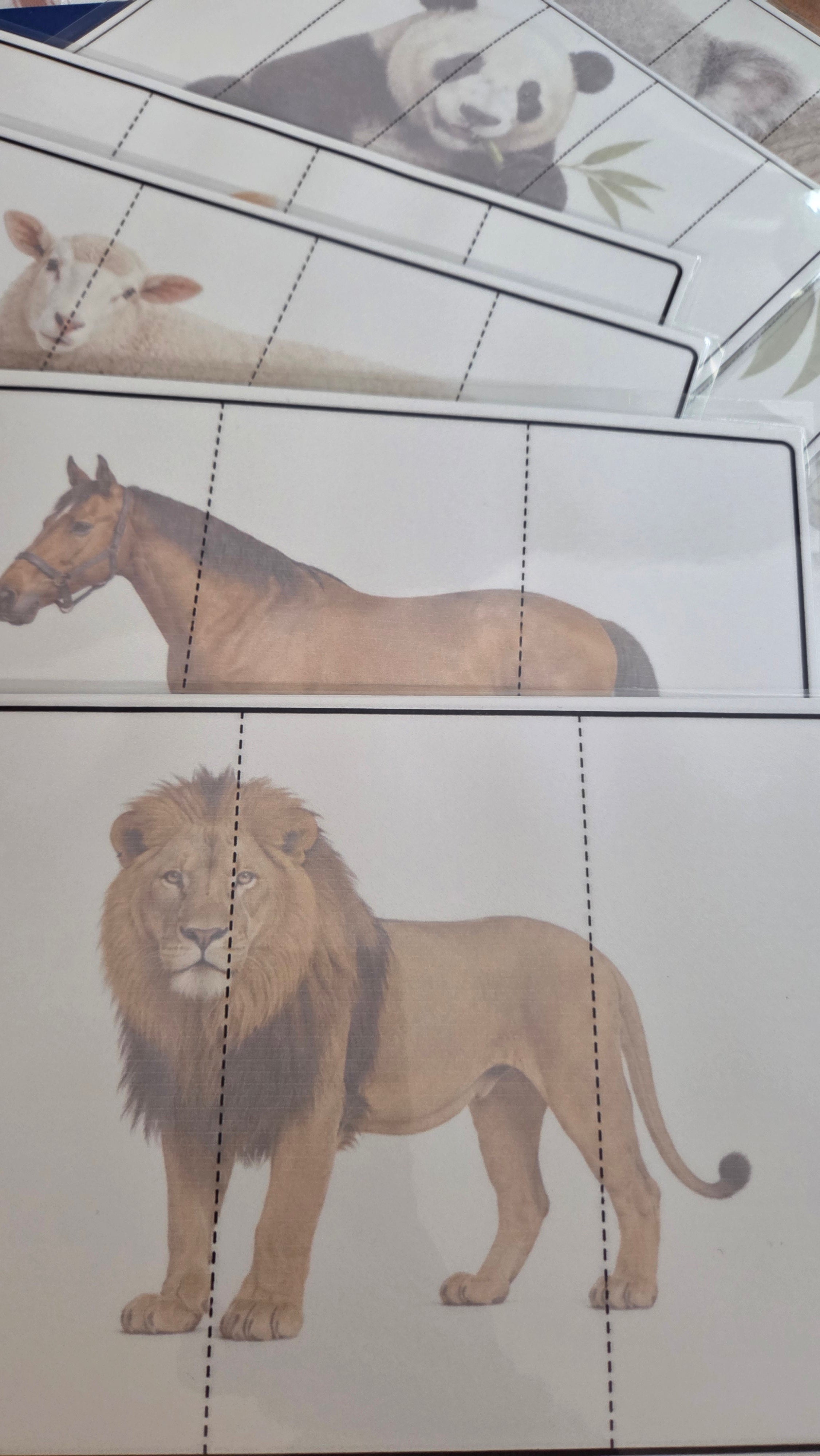 Montessori puzzle riječi za početno čitanje