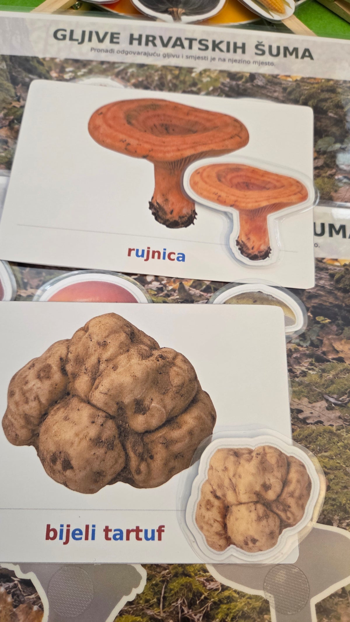JESENSKI BOX – edukativne Montessori aktivnosti za djecu 3–6 godina