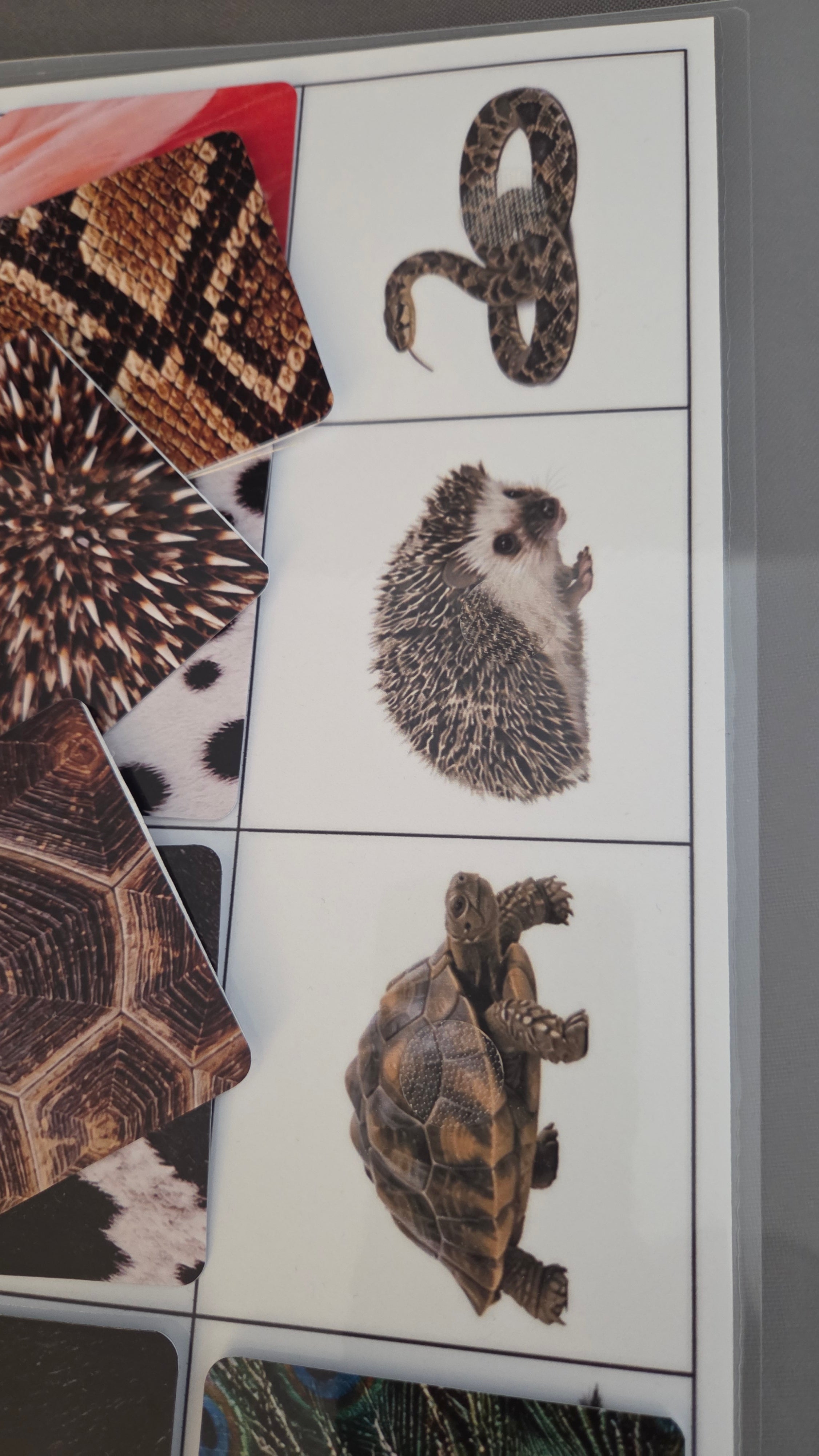 Montessori edukativni set o životinjama za djecu
