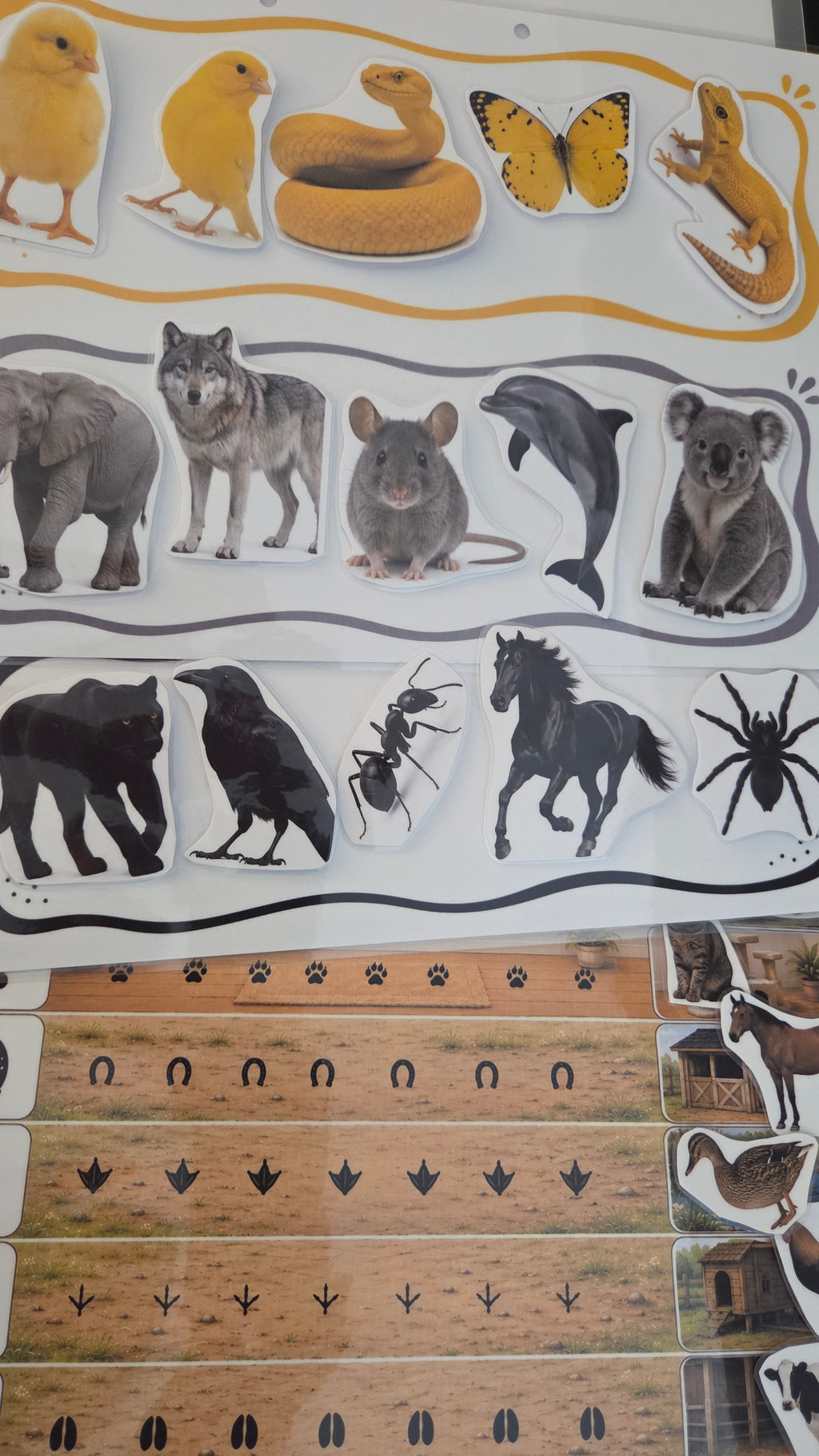 Montessori set životinje, tragovi i staništa za djecu 3–5 godina
