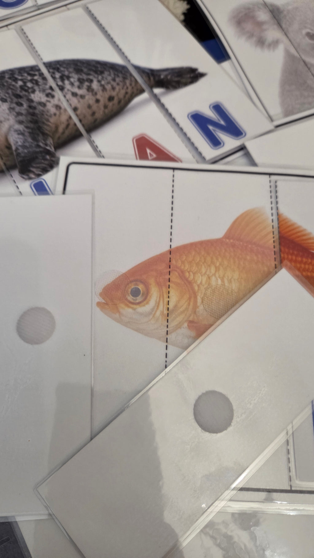 Montessori puzzle riječi za početno čitanje