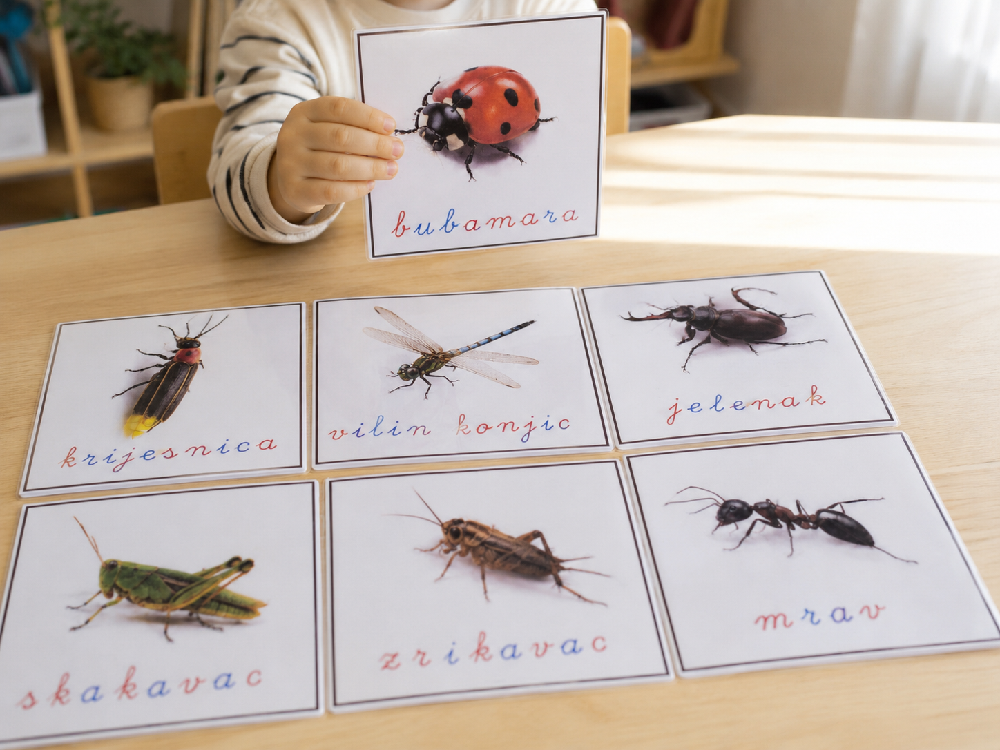 Montessori set insekti i uzorci za djecu