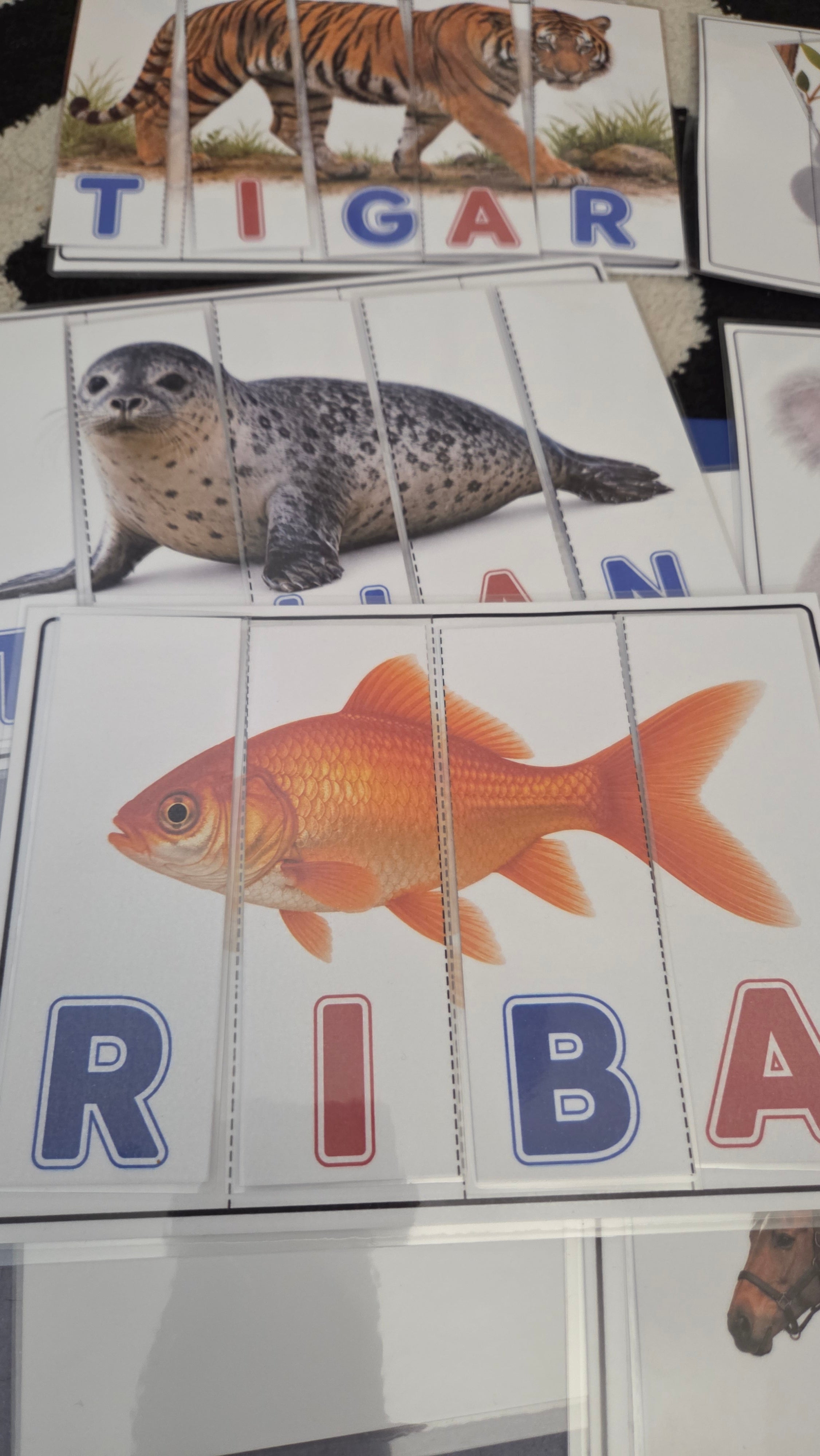 Montessori puzzle riječi za početno čitanje