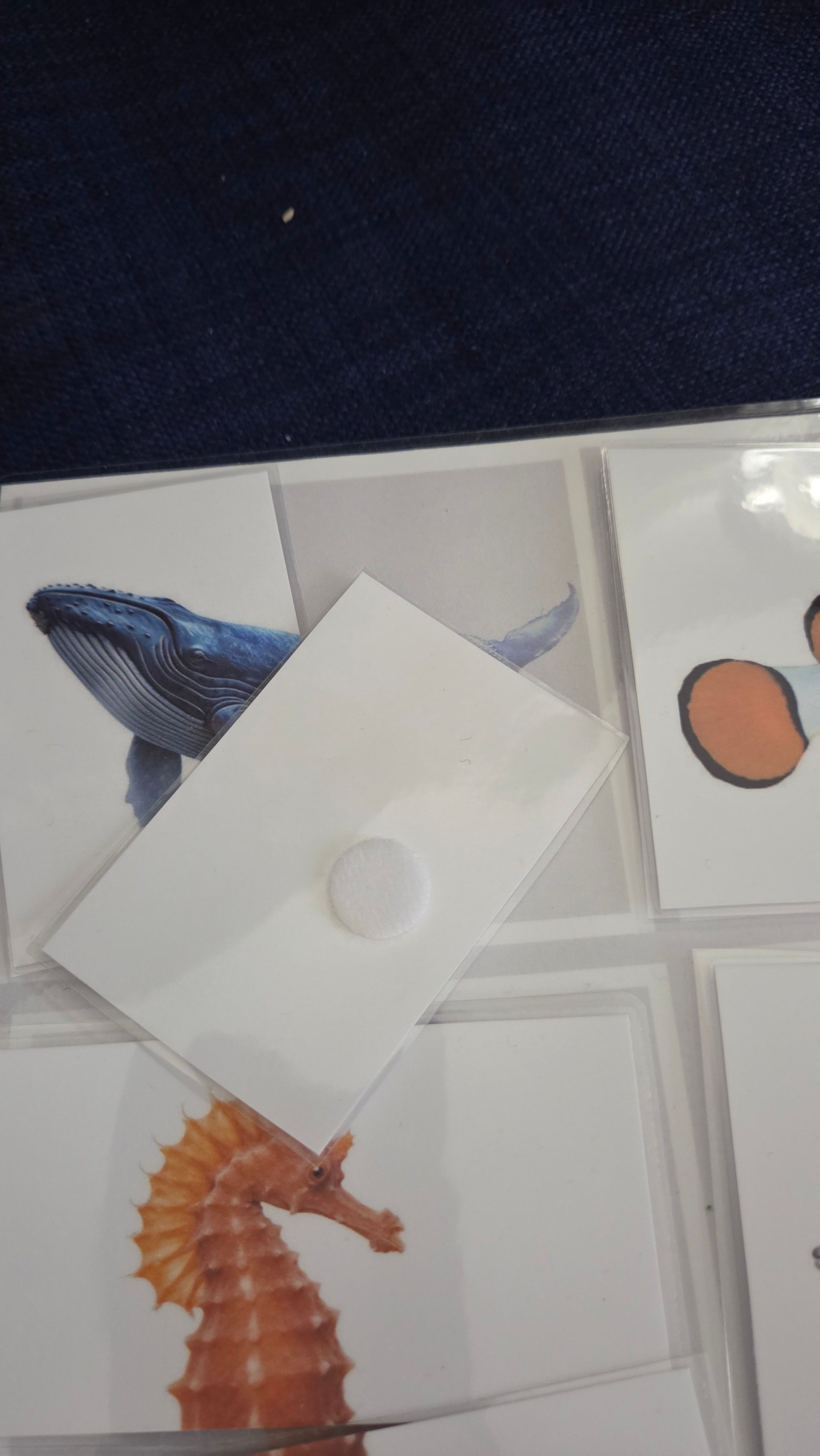 Montessori puzzle životinja – Morske i kopnene životinje | Edukativni set