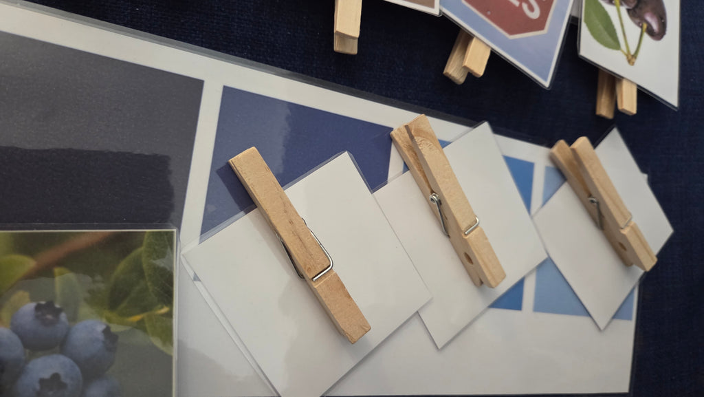Montessori kartice nijansi boja za djecu